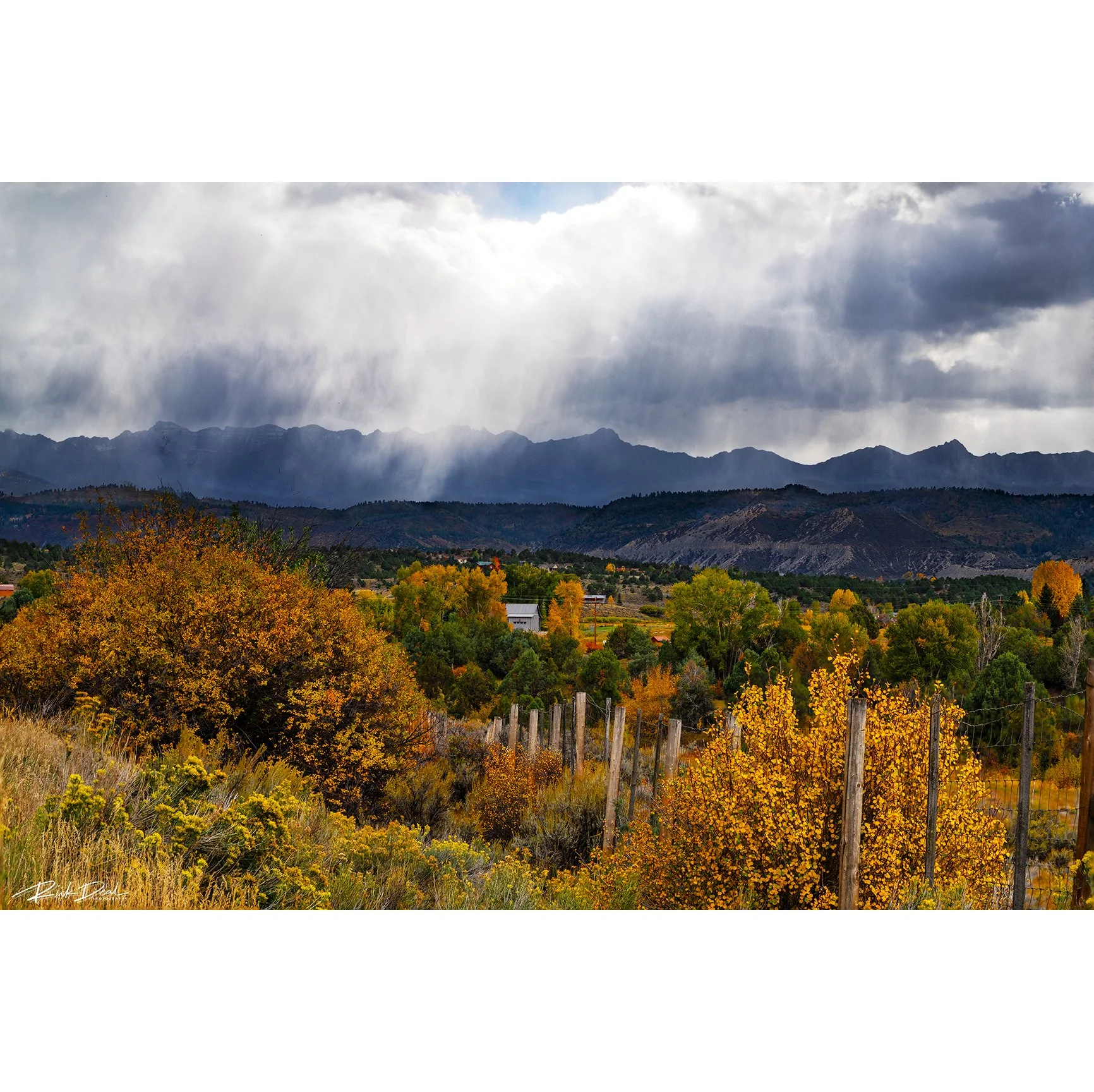 ***NEW for 2026***     Showing Kindness