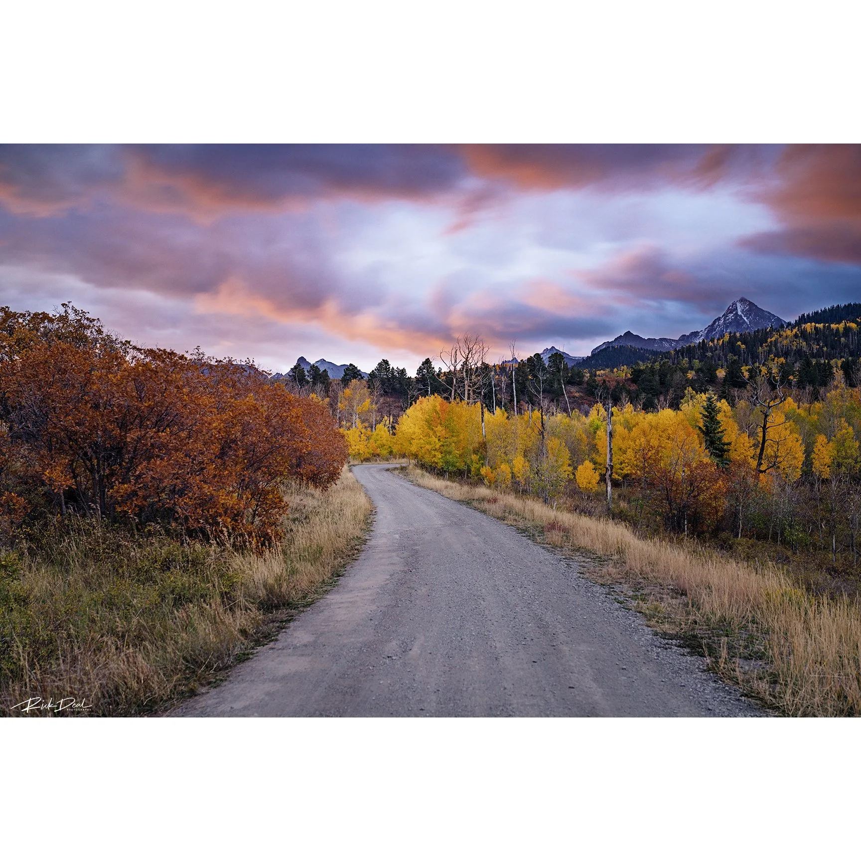 ***NEW for 2026***     With All Your Heart