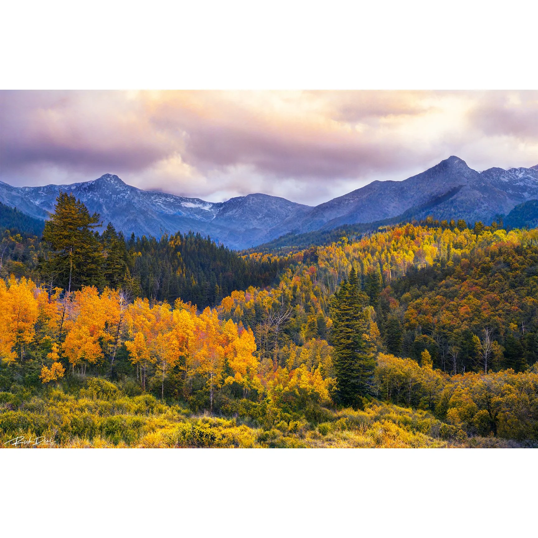 ***NEW for 2026***     Perfect Peace