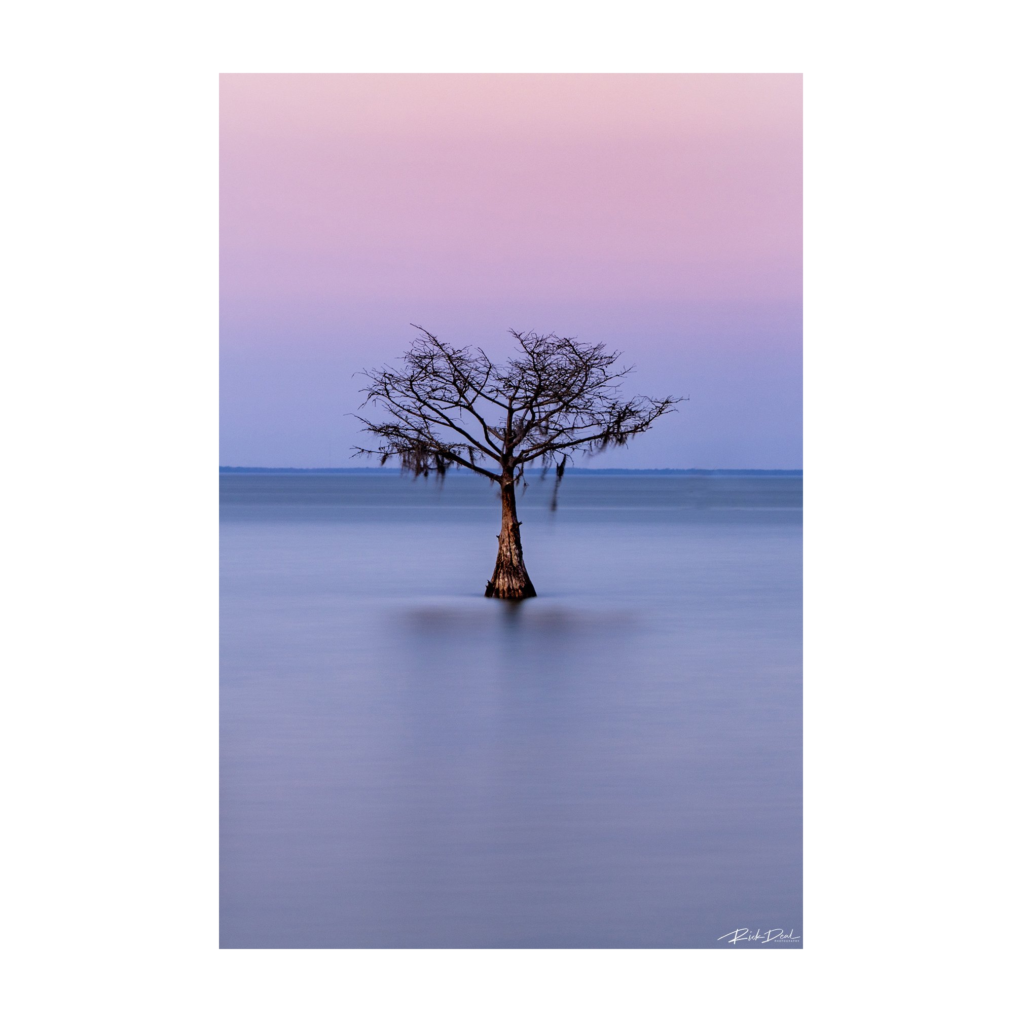 ***New In 2025*** Alone in Peace