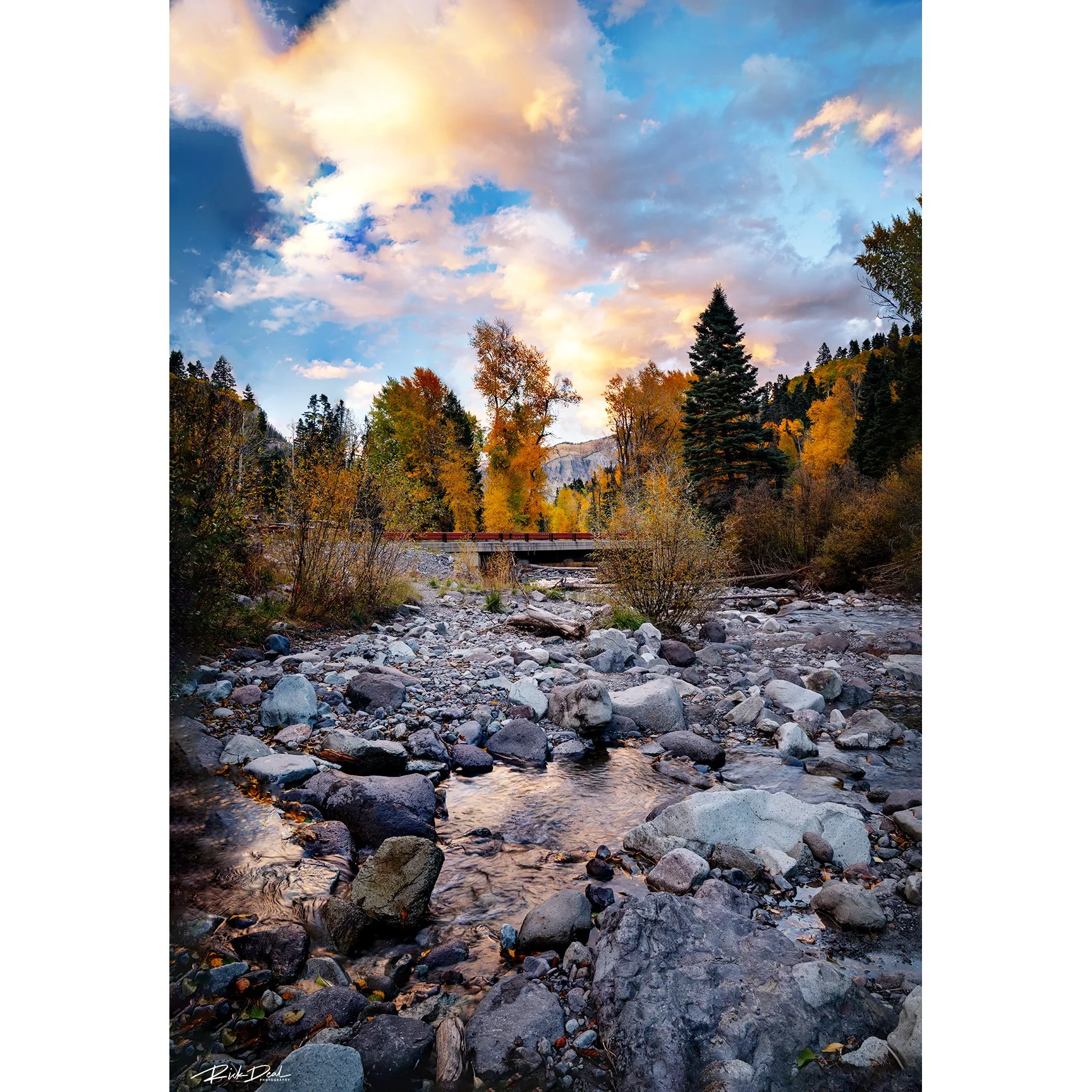 ***NEW for 2026***     Anxious For Nothing