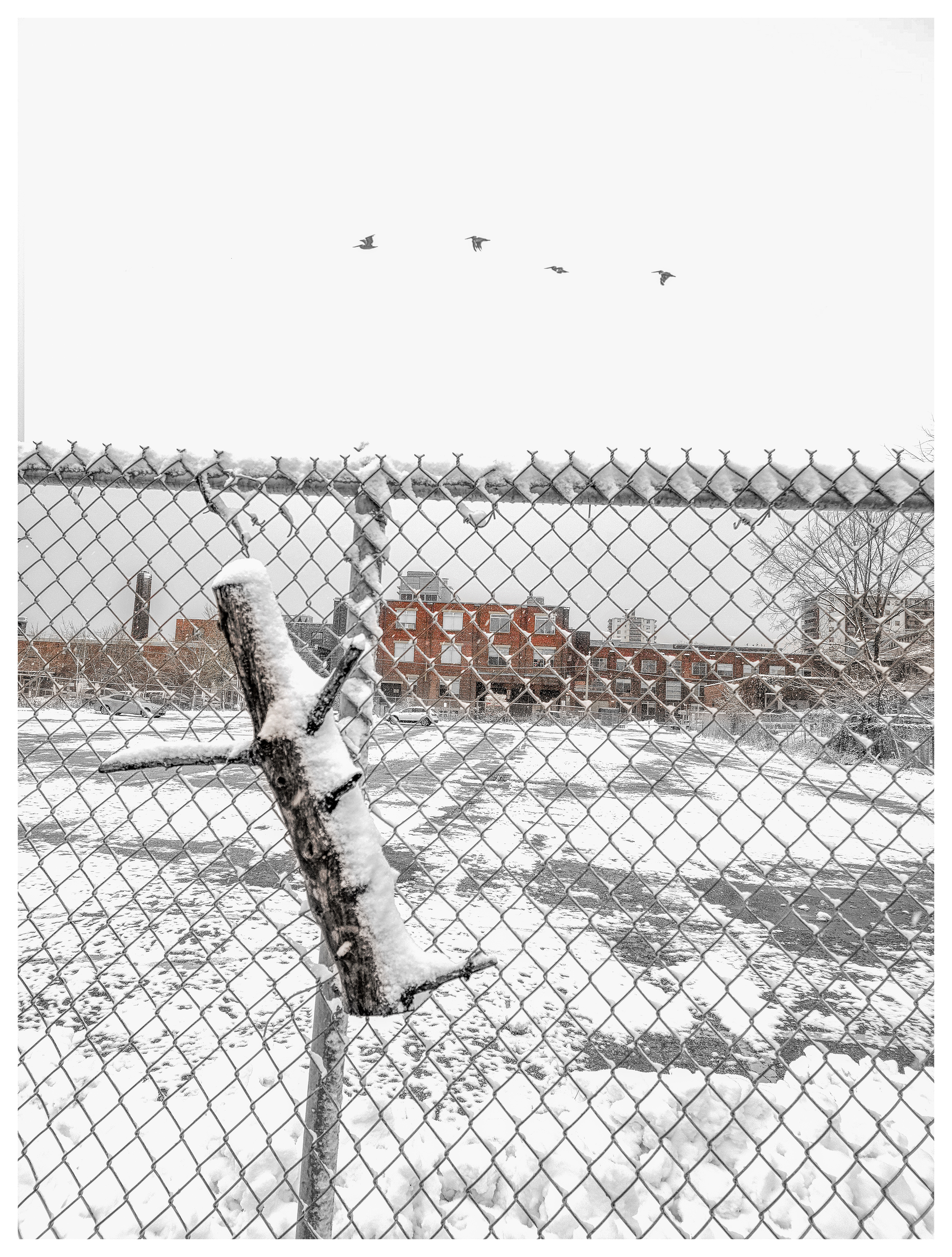 winter 2023.png