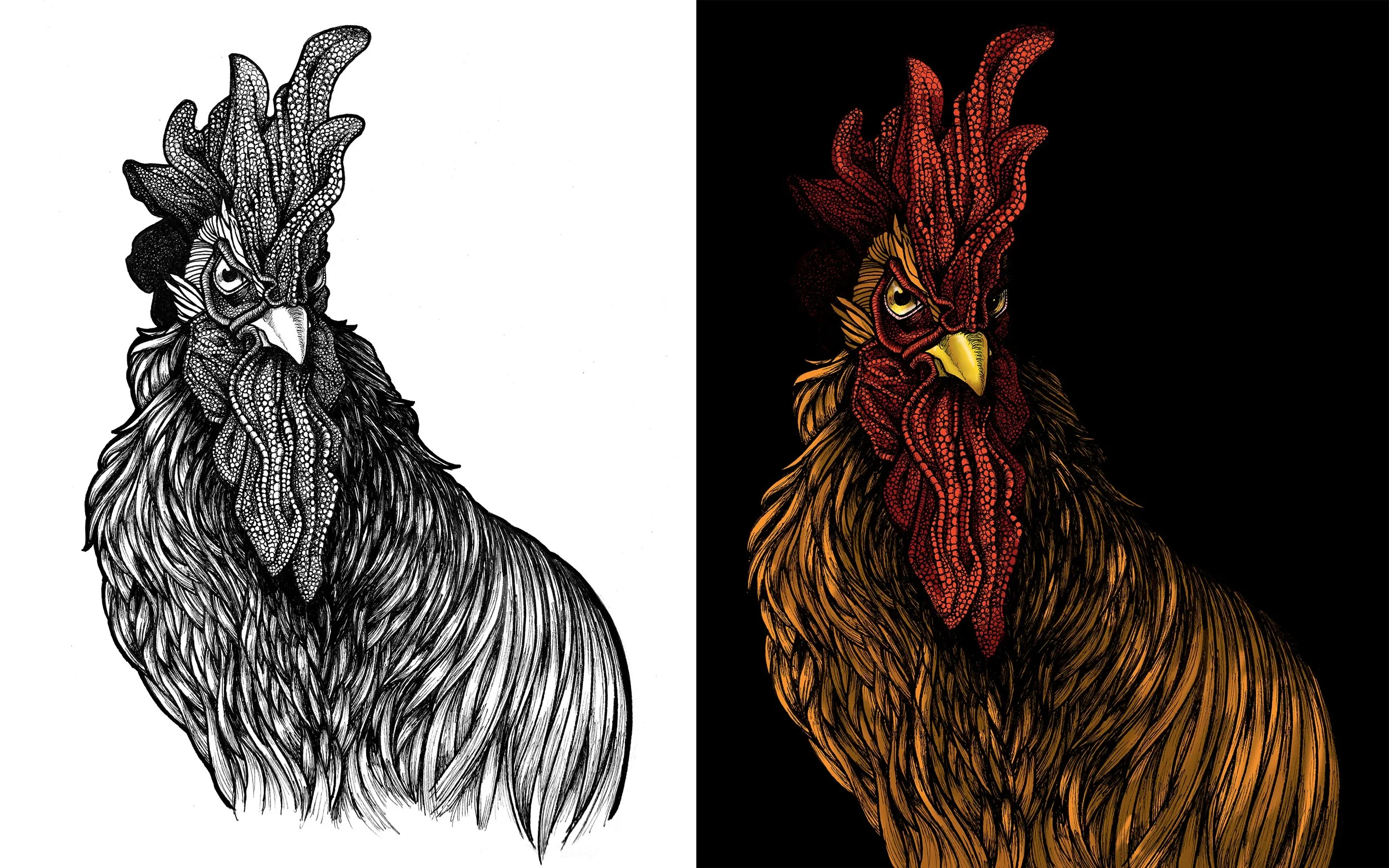 Tina-Furesz_Red-Rooster-Wines_2.jpg