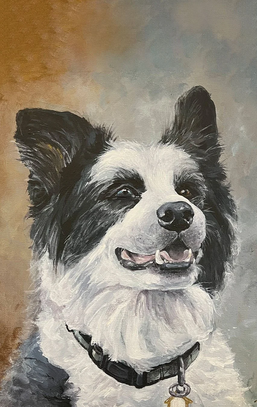 An acrylic painting of a border collie dog pet portrait.