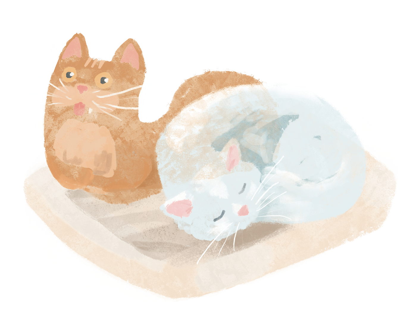 A cartoon illustration of Canadian graphic designer Tina Furesz' cats