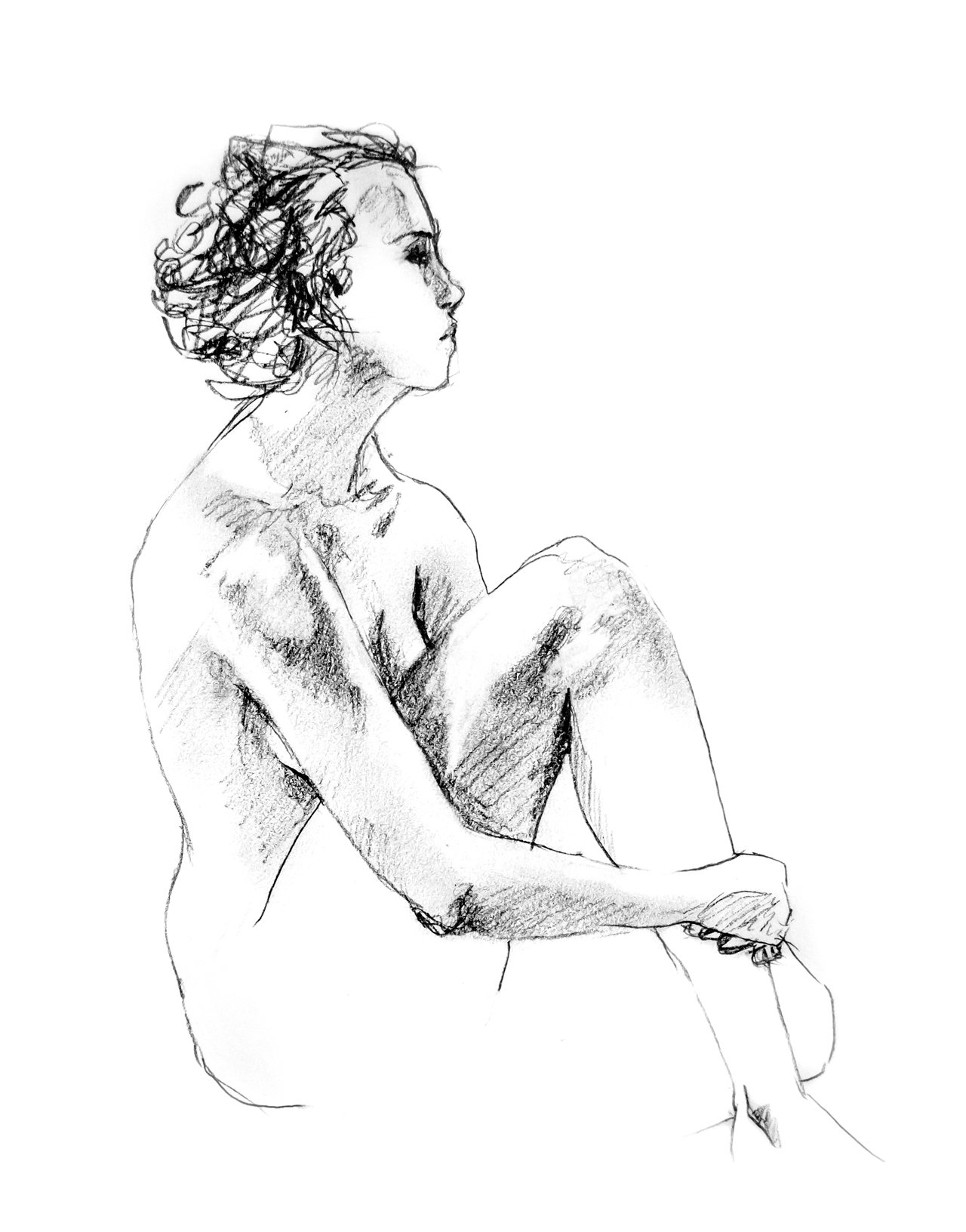 Vancouver, Sunshine Coast, Gibsons, BC, British Columbia, Experienced, Freelance, Illustration, illustrator, portraiture, Visual Artist, Art, Traditional art, Pen and Ink, painting, digital, ink, graphite, pet portrait, life drawing