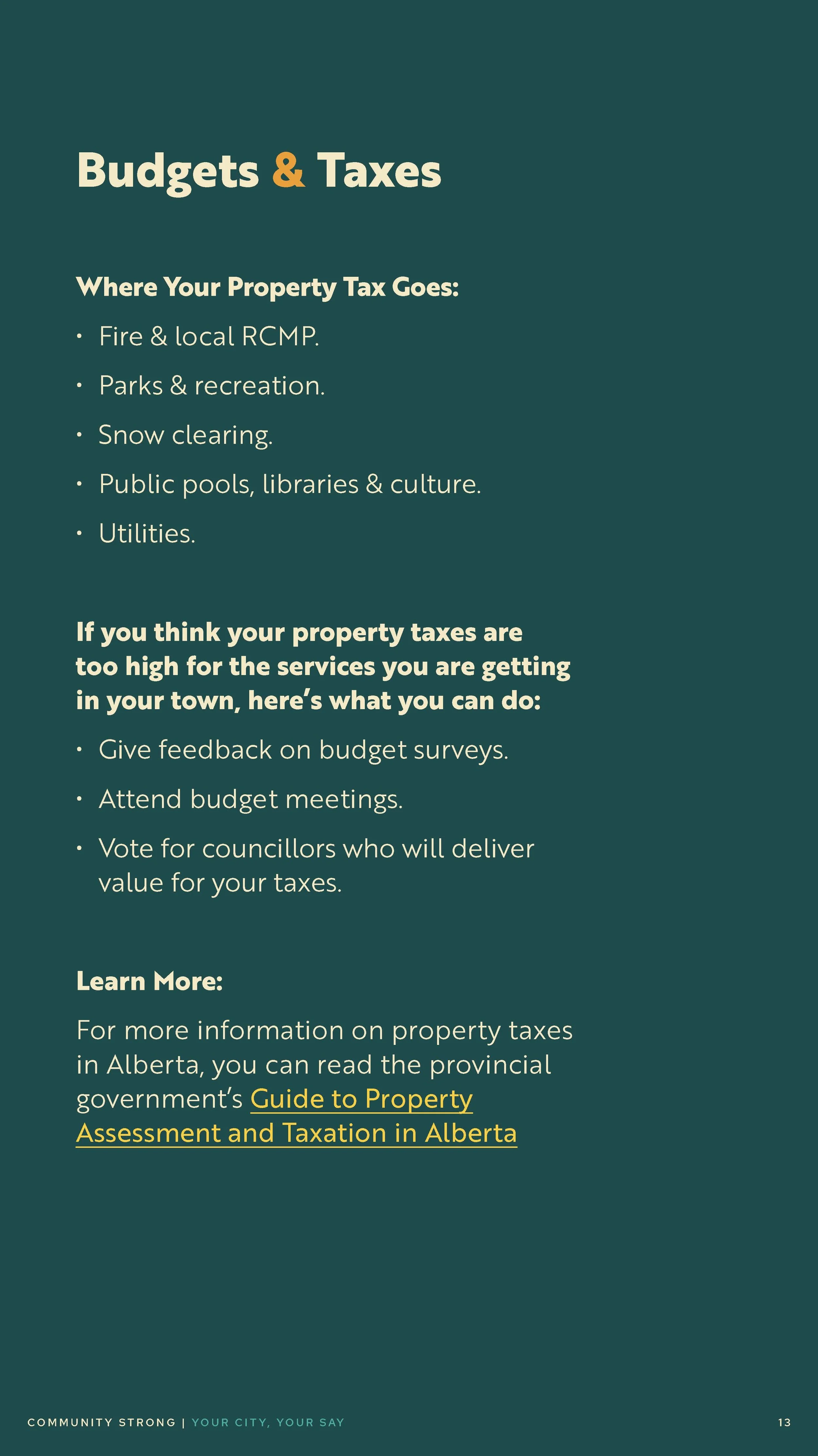 Community Strong Digital Brochure: Your City, Your Say (Page 13)