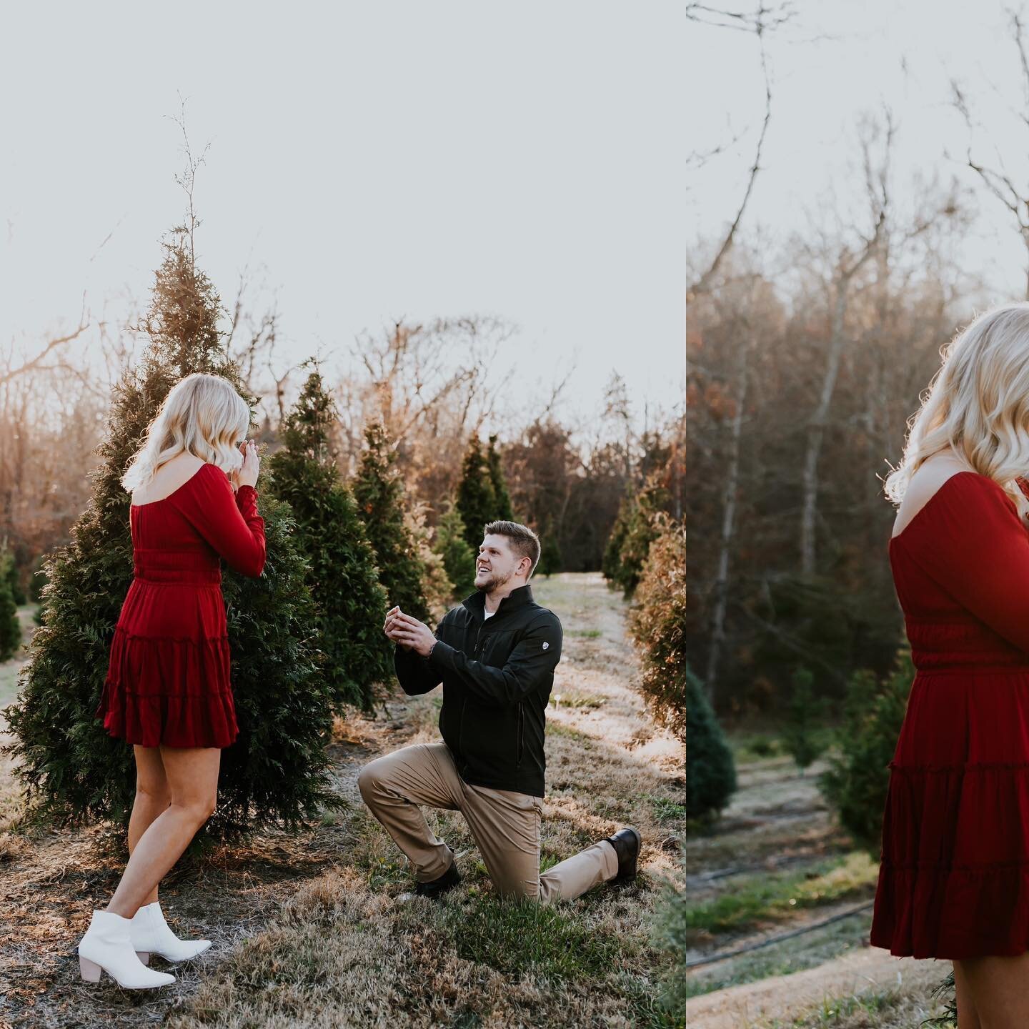 Christmas proposals are my favorite &hearts;️ 🎄 Congrats to this sweet couple! Honored to be trusted with such special moments ✨ 
&bull;
&bull;
&bull;
&bull;
#ncweddingphotographer #surpriseproposal #christmasproposal #christmasengagement #ncengagem