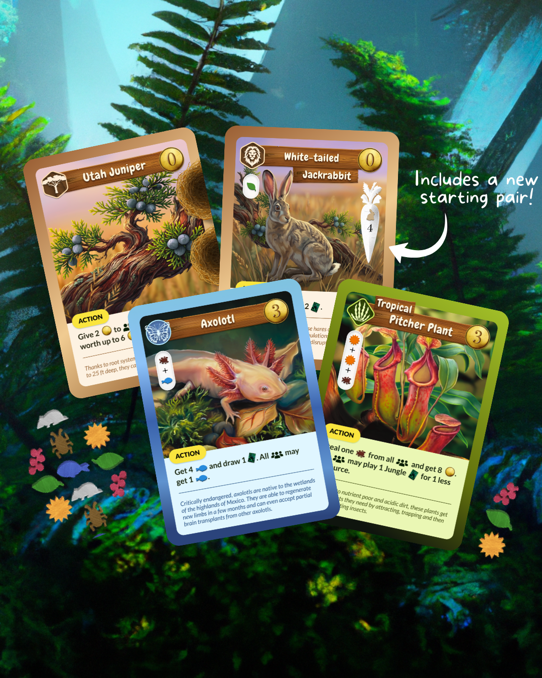 5-6 player expansion cards.png
