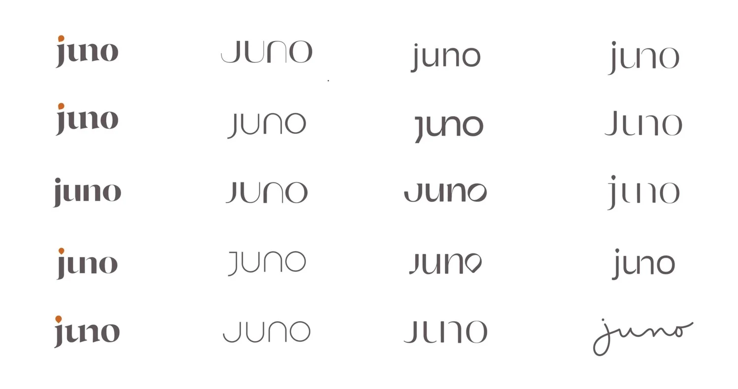 Juno Smart Collar — SO Dsgn