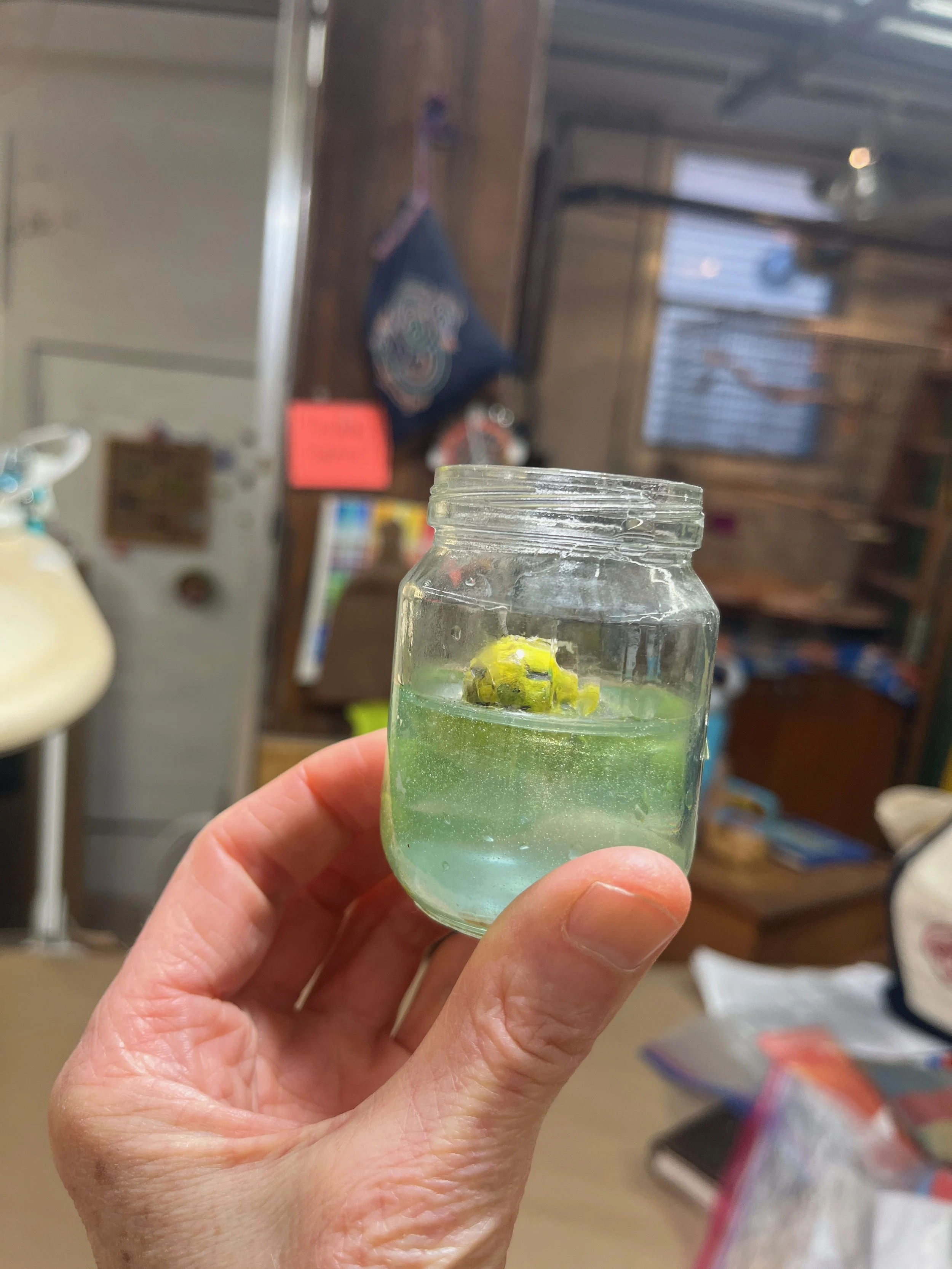 creatureCamp - 10.jpeg