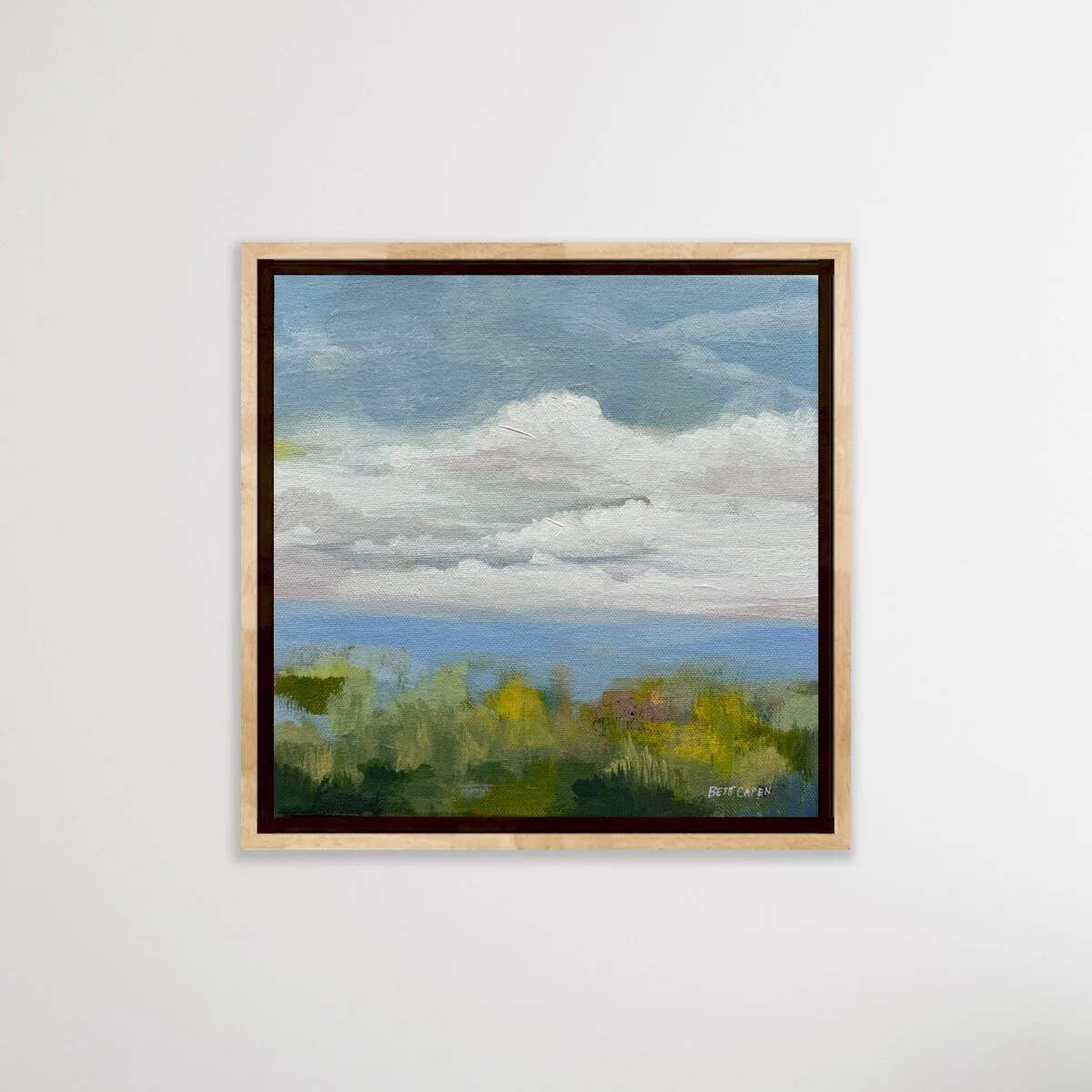 A Soft Place to Land 10 x 10