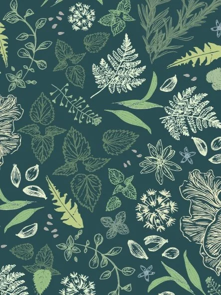 Screen Shot 2022-12-15 at 2.27.43 PM.jpg