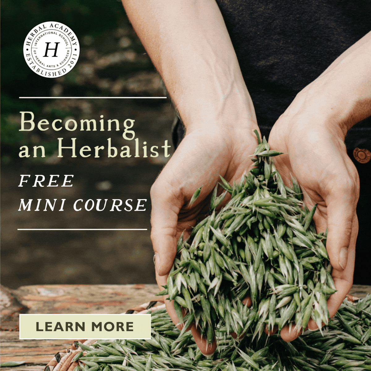 SQUARE BH MINI (1200 x 1200 px).gif