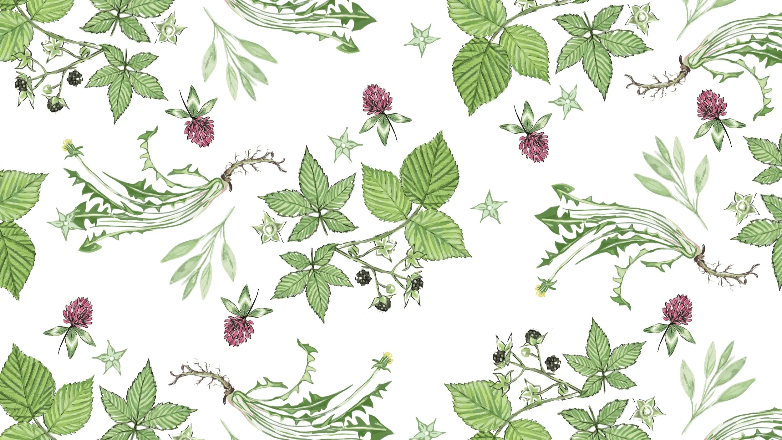 HA Packaging Box Green-01.jpg