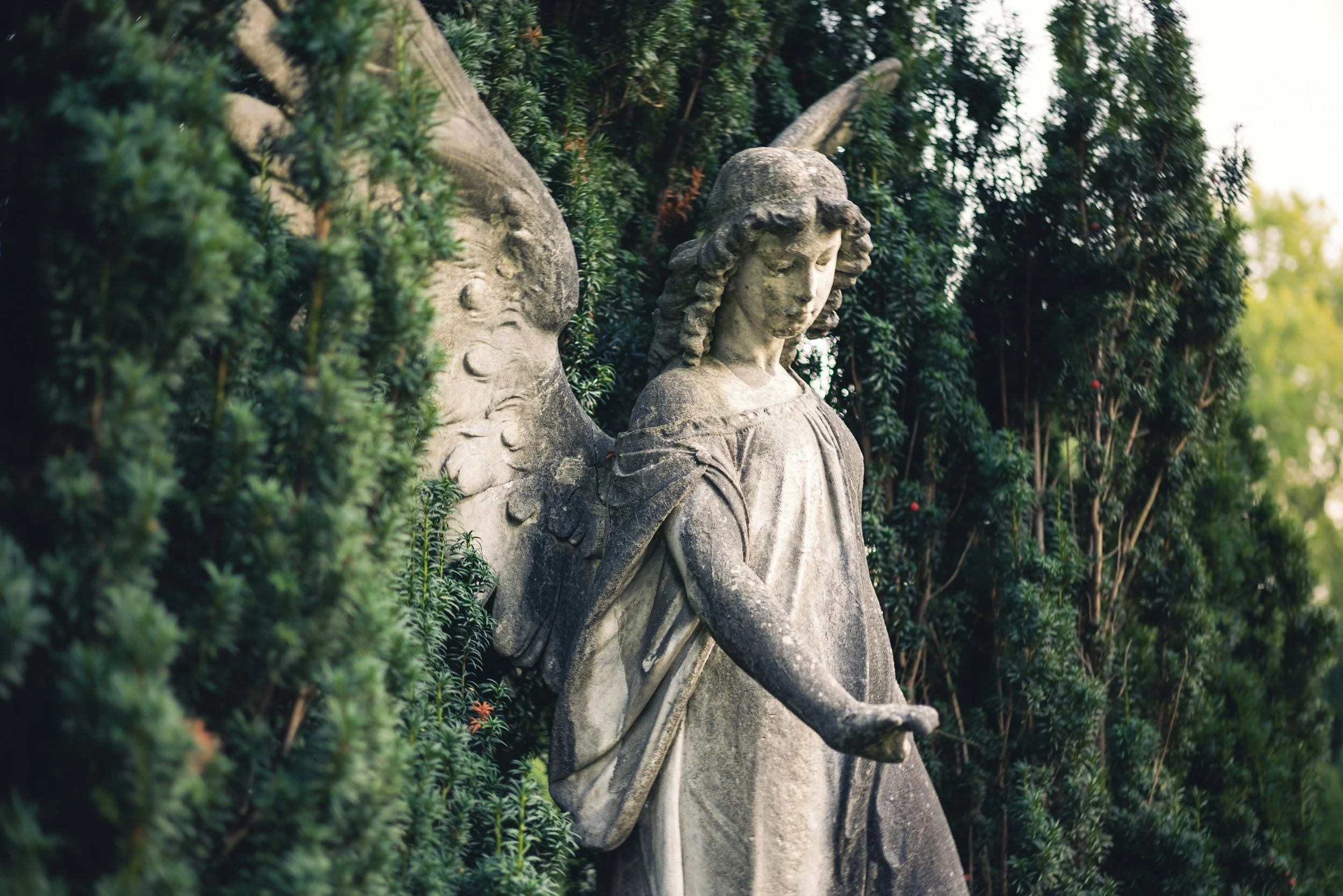 Regalis Law, P.A. - Guardianship