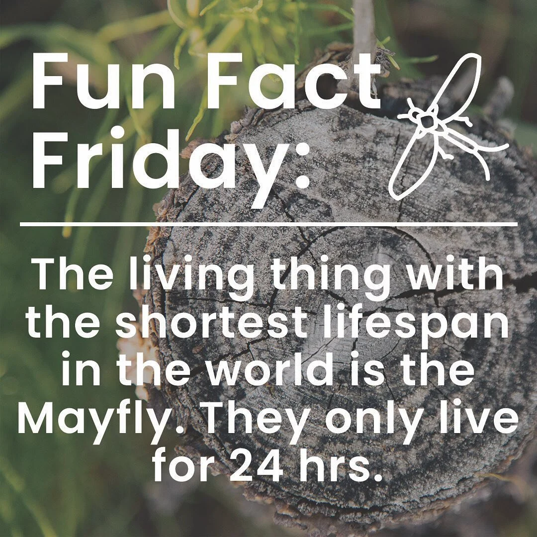 Outdoor Summer Camps Summit County Uinta Outdoor Co outdoor-summer-camps-summit-county-uinta-outdoor-co