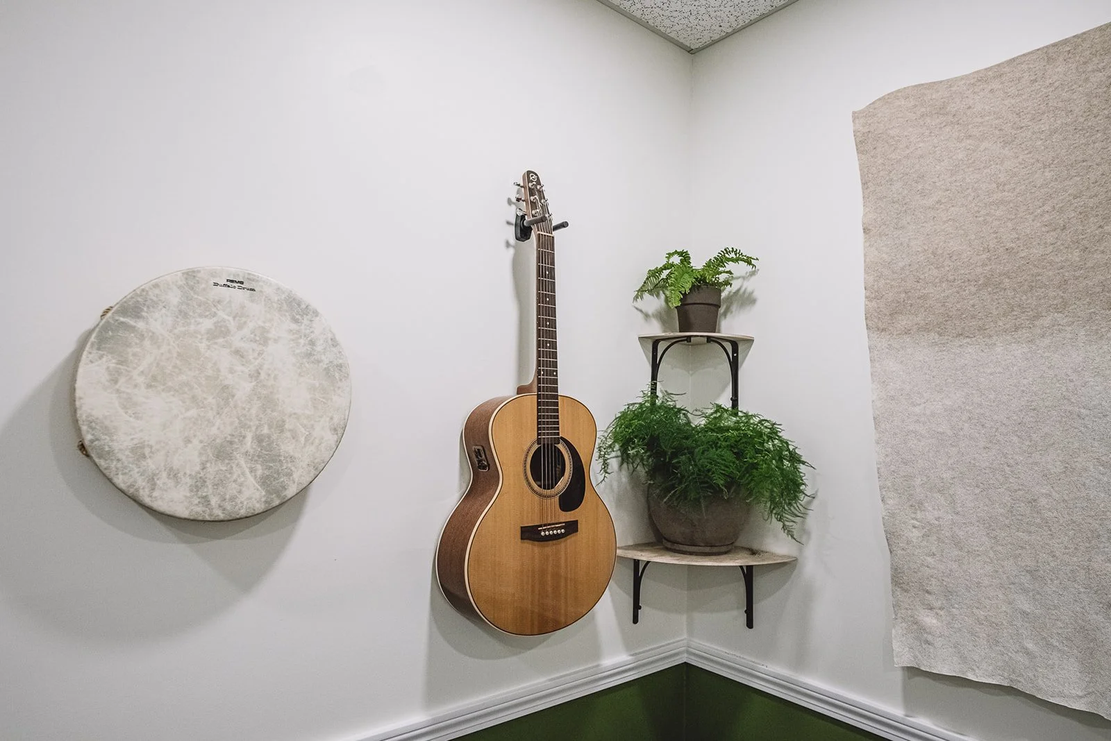 Acoustic guitar, drum head, and potted fern displayed on a white wall at The Sonatina Center