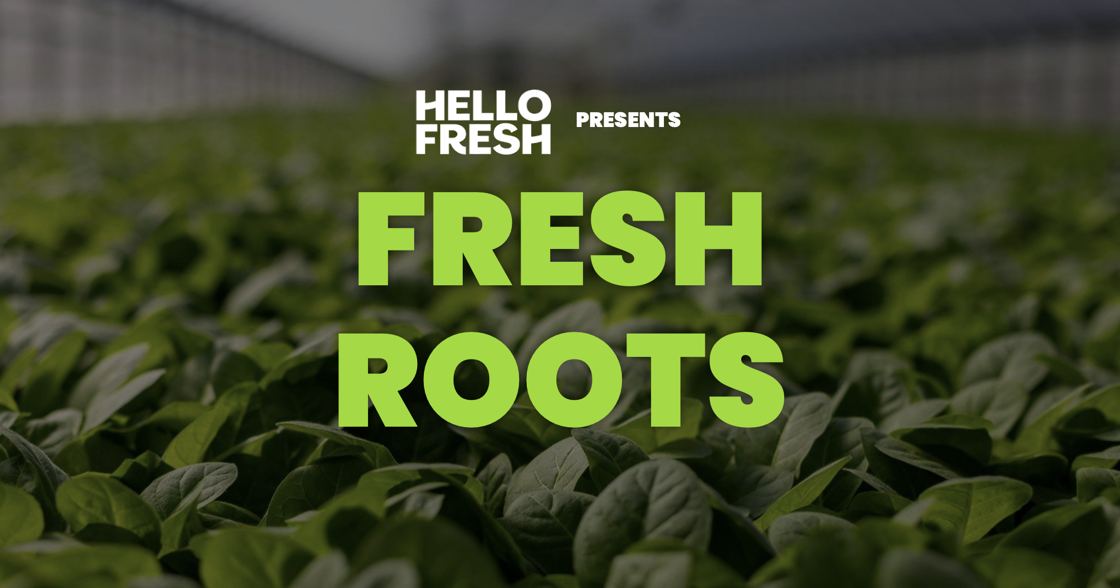 Green leafy plants growing in a greenhouse with text overlay saying 'Hello Fresh presents Fresh Roots'.