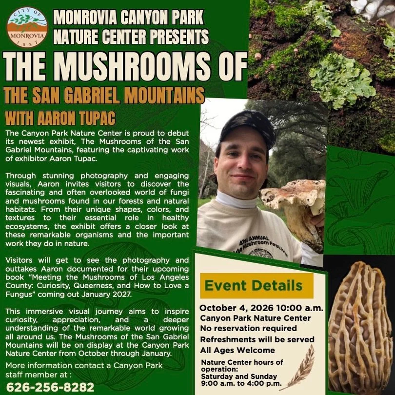 Please join me this weekend in celebrating my first ever solo photography exhibition &ndash;&nbsp;Sunday, 10/4 from 10:00am - 12:00pm.&nbsp;

The exhibition features my photography and outtakes I took for &ldquo;Meeting the Mushrooms of Los Angeles,&