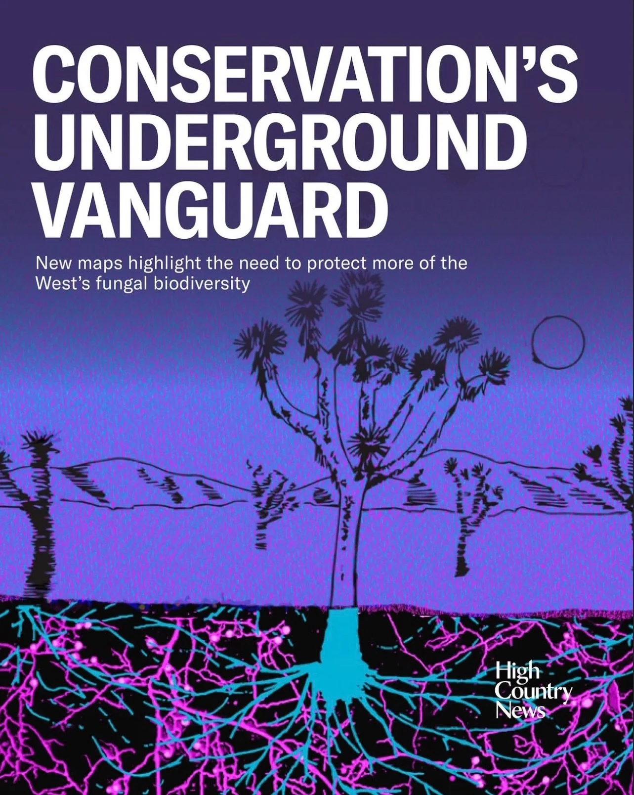 To protect our beloved biodiversity in the West, like the Joshua Trees, we need to protect the fungi. To protect the fungi, we need more research and stewardship. Both of which, are currently being defunded. We are only just beginning to understand w