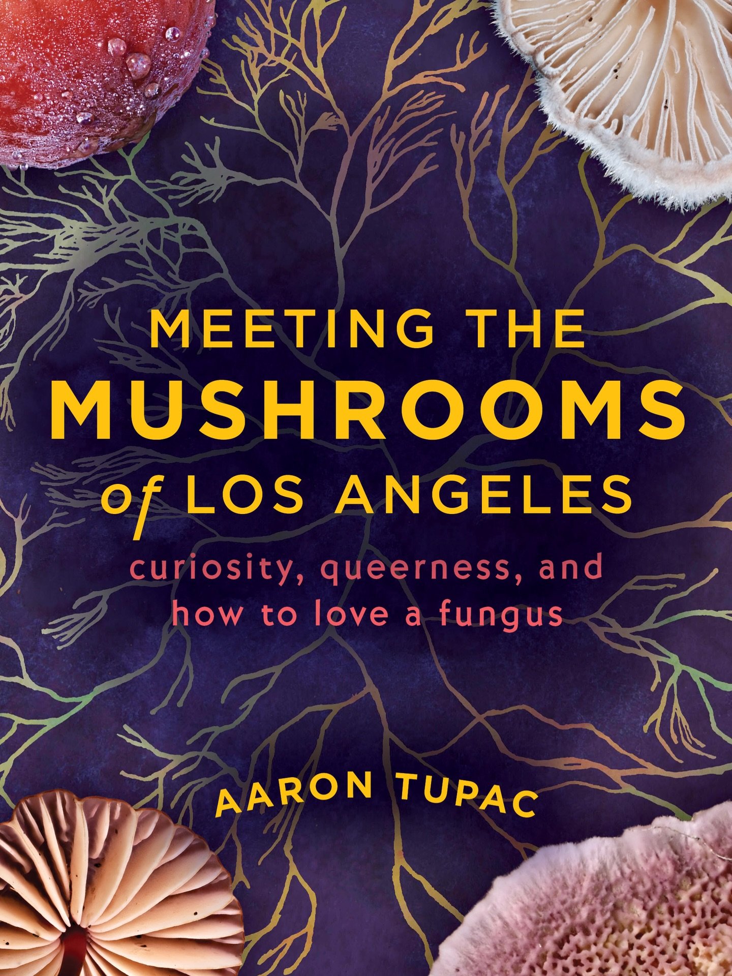 I am ever so proud to present the title and cover of my *first* book set to published Nov 2026 via @heydaybooks &ndash; Meeting the Mushrooms of Los Angeles: Curiosity, Queerness, and How to Love a Mushroom. Cover designed by Heyday (with original de