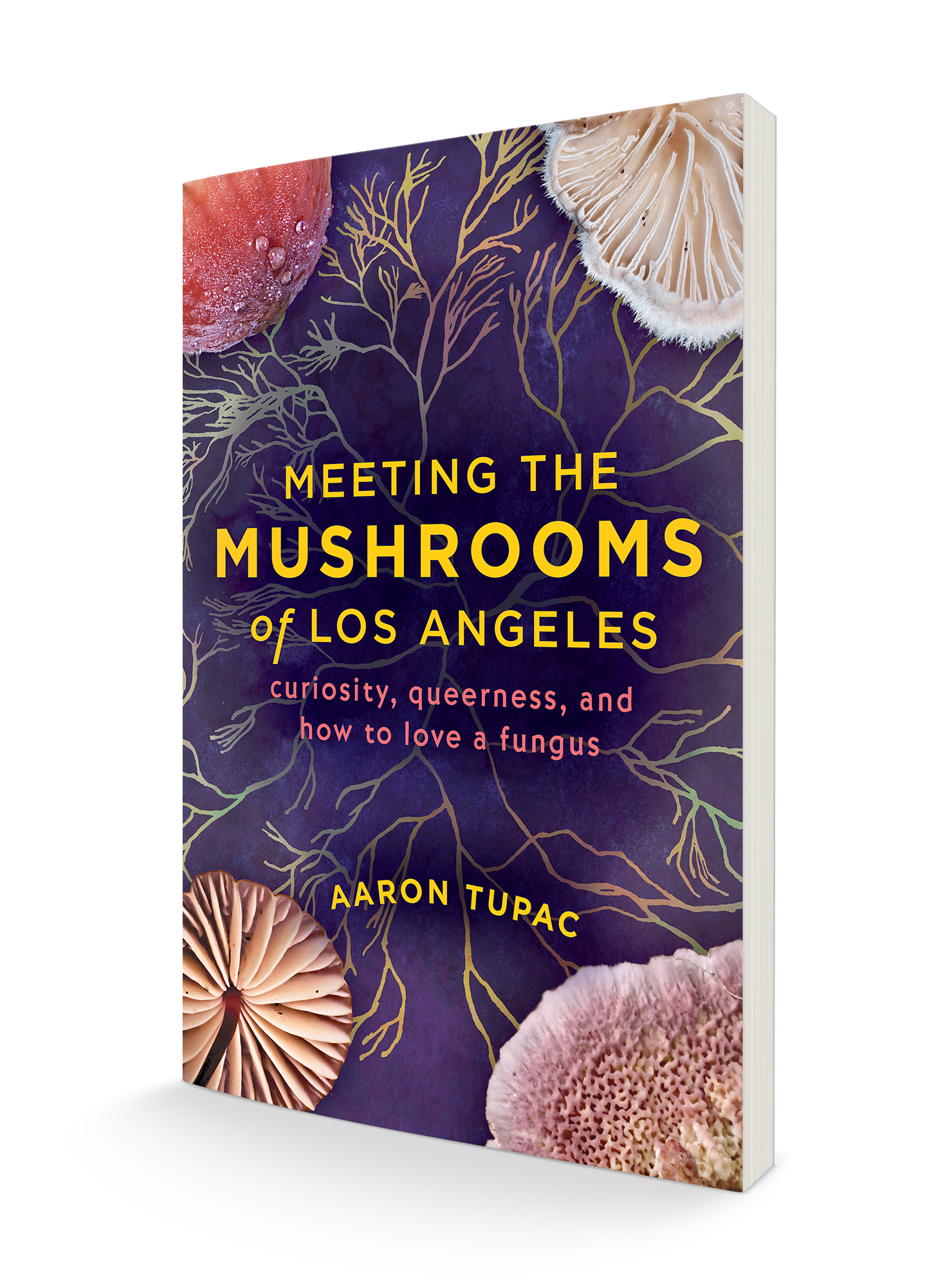 Meeting the Mushrooms of Los Angeles: Curiosity, Queerness, and How to Love a Fungus
