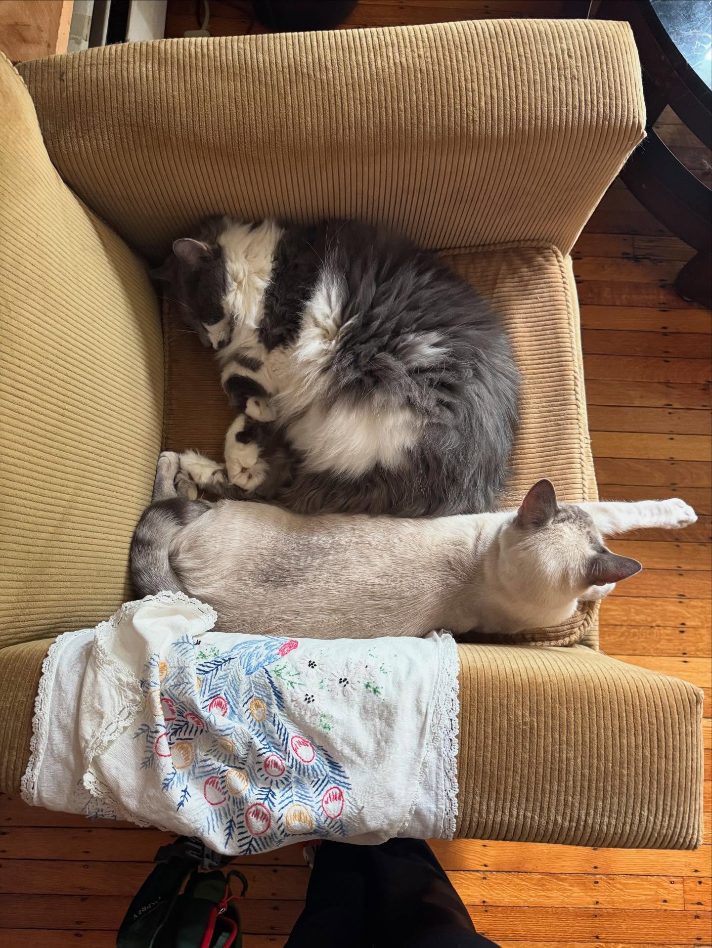 Nap time pals. &hearts;️
