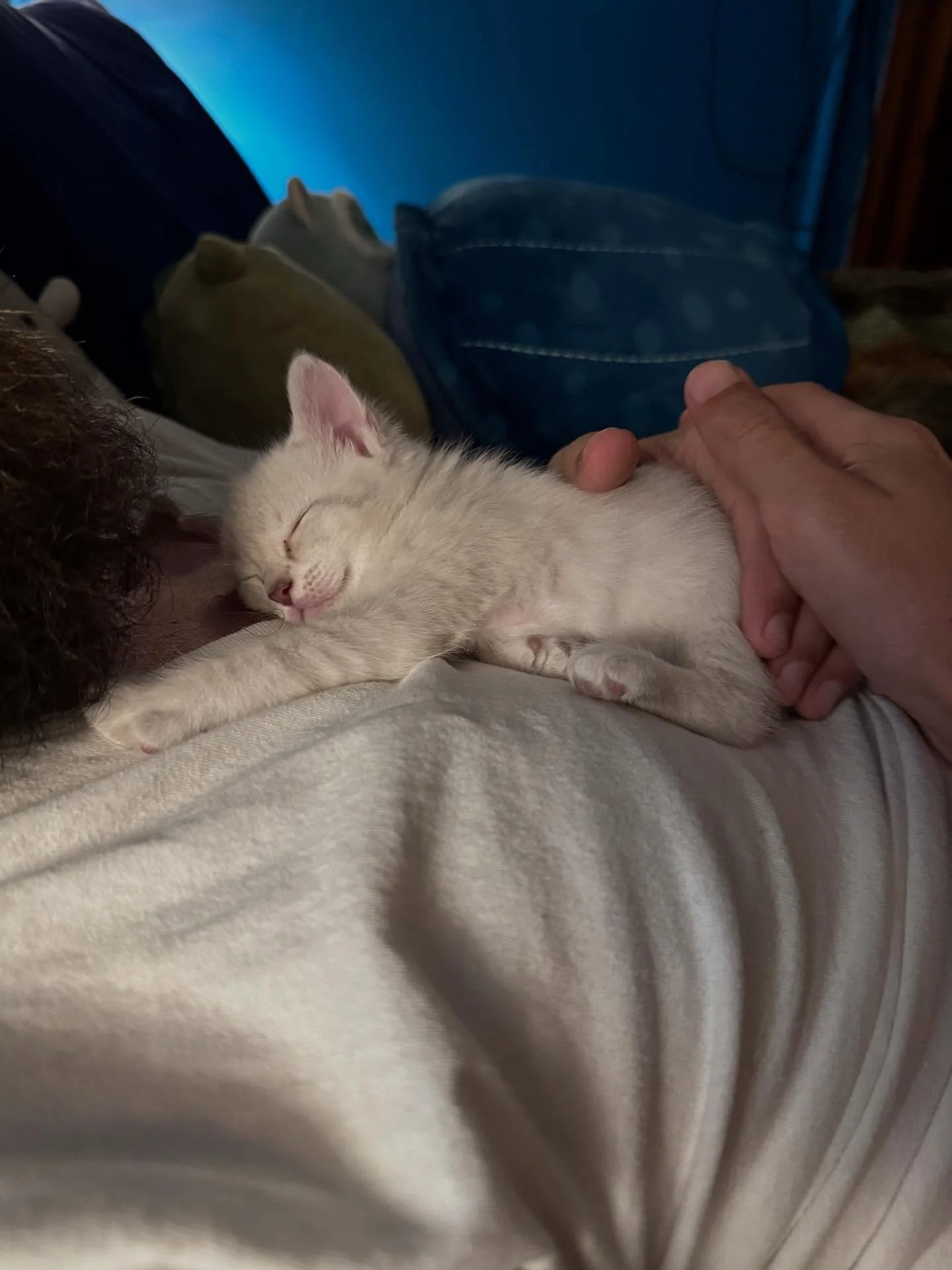 Grace Jones. Slide 1: June 2024. Side 2: November 2025. 😻