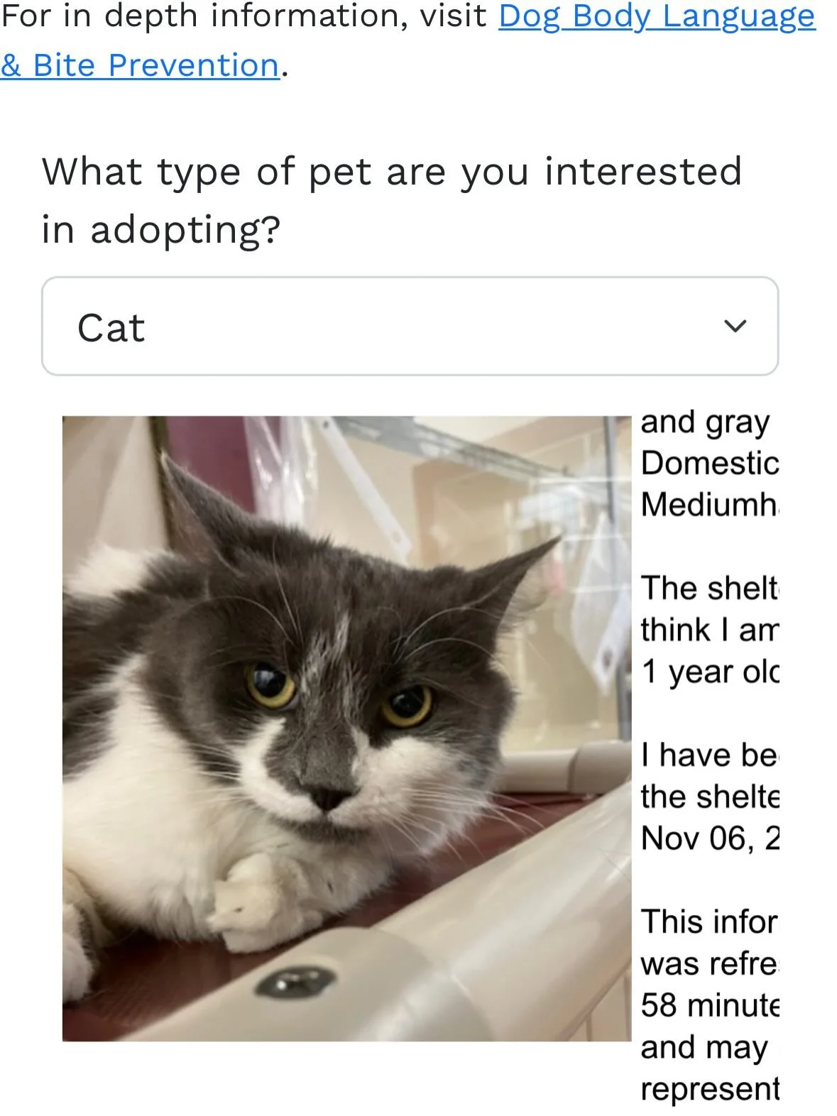 If you&rsquo;re wondering what happened with our rescued friends Genevieve, Alexander, and Julius: they are all up for adoption at the TJO Adoption center. https://www.tjoconnoradoptioncenter.com/what-we-do/adoption Please check them out. Share them 