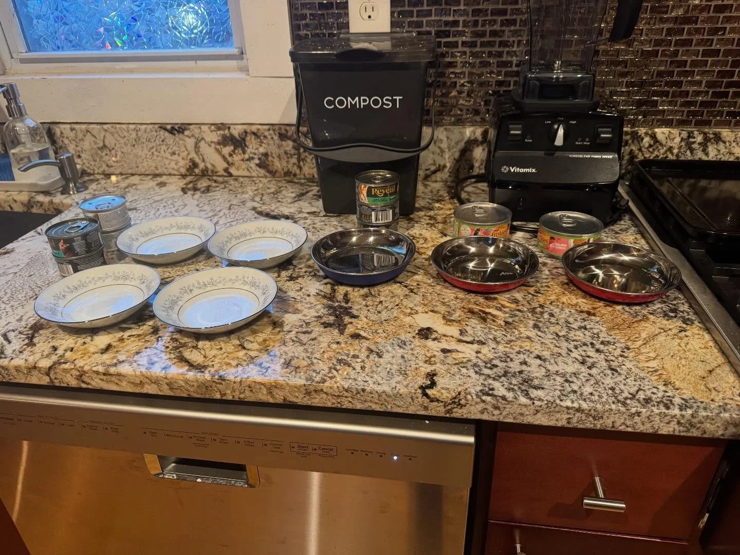 This is how mornings start here: I get everyone&rsquo;s food ready and then make the rounds, dropping off food, getting clean water, scooping litter, etc. some days this includes cleaning up the aftermath of cat antics. This morning Beauregard had fl