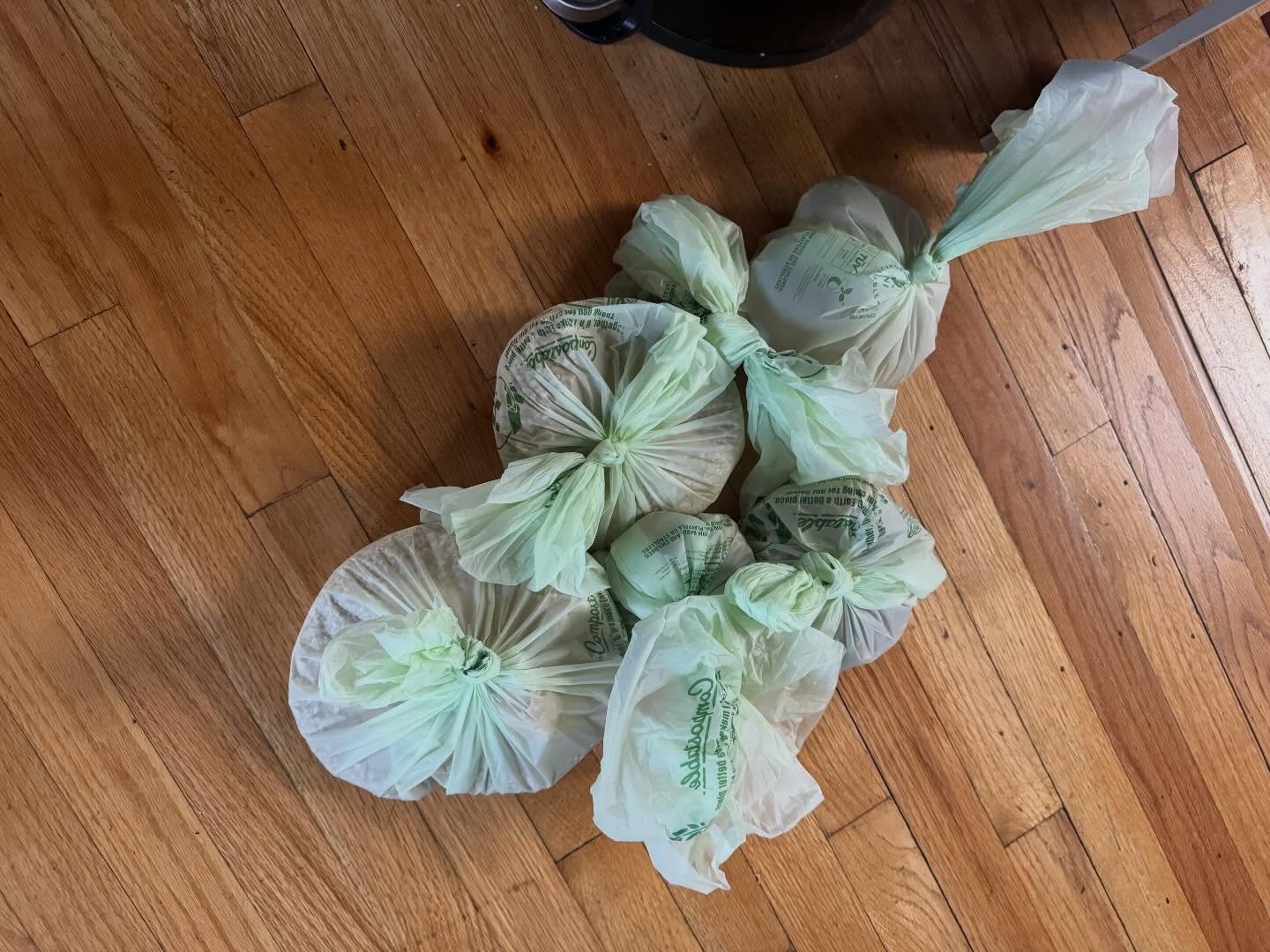 If you think it&rsquo;s glamorous having a house full of cats - here&rsquo;s your reminder that it&rsquo;s not a pretty instagram reel. #pileofshit #catrescue 💩💩