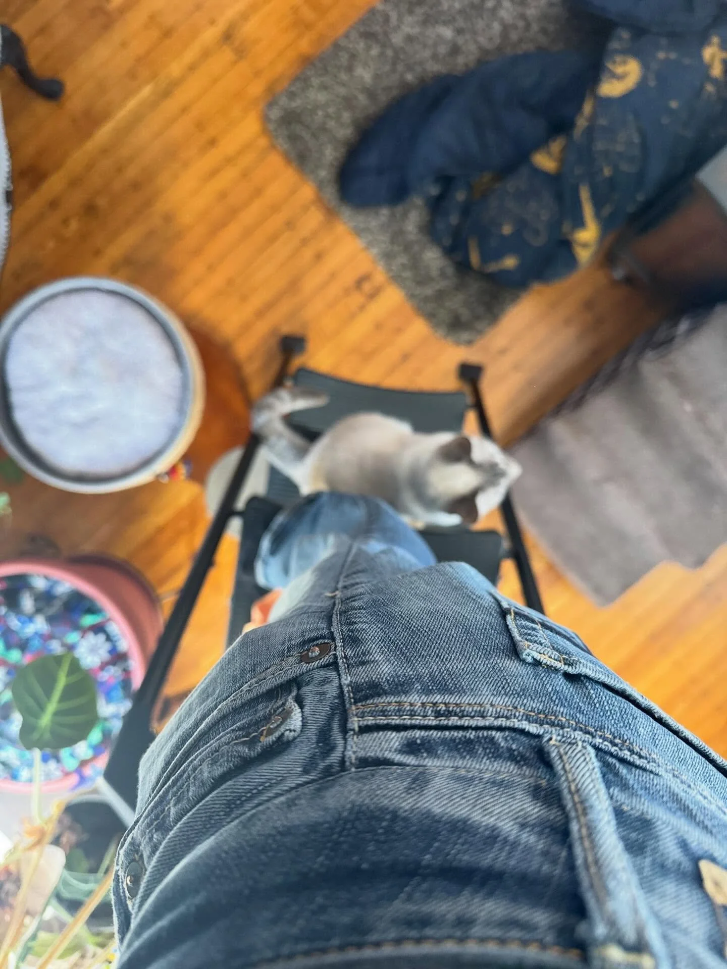 It&rsquo;s okay, Grace, I don&rsquo;t want to get down off the stool anyway&hellip; 😹😹