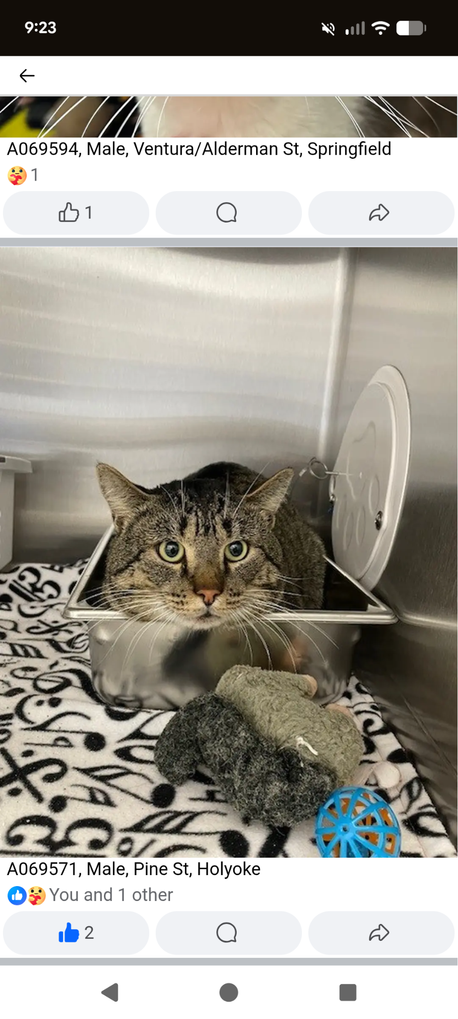 [unnamed] - Taken to TJO for Adoption