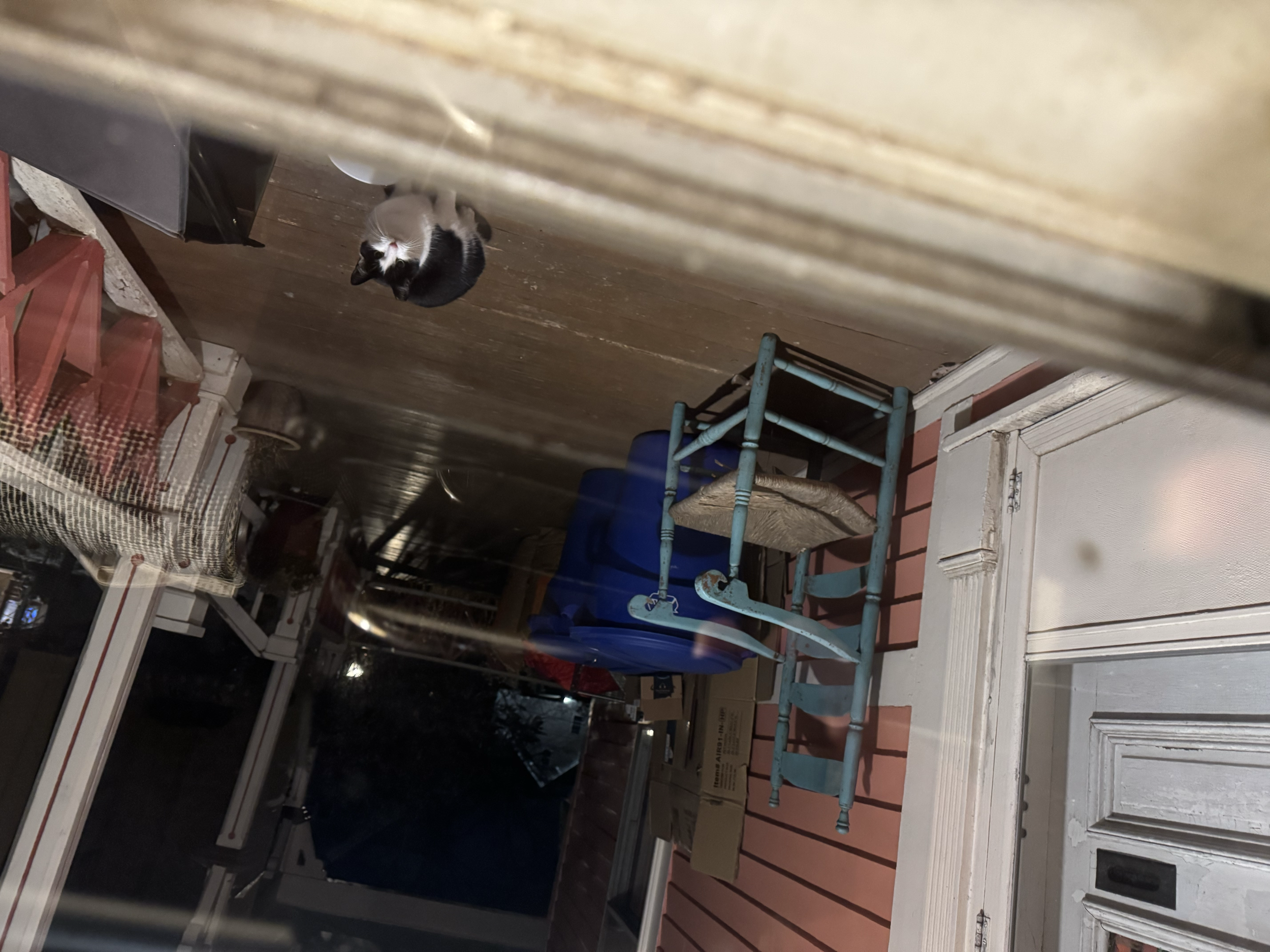 [unnamed] - Current Feral (12/2025)