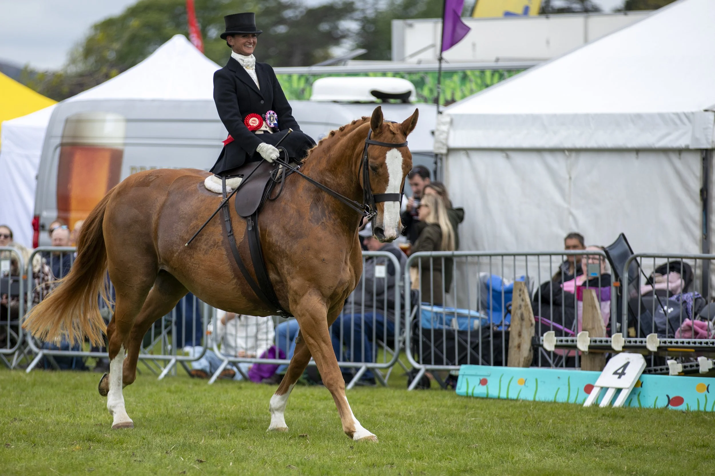 Dressage