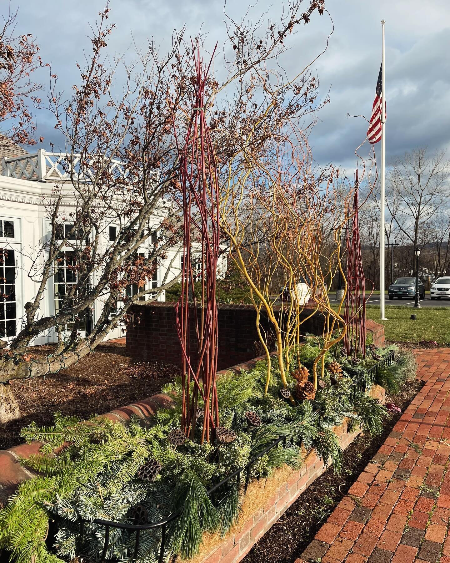 Holiday Decor photo dump- #finegardening #landscaping #containergardening #winterdecor