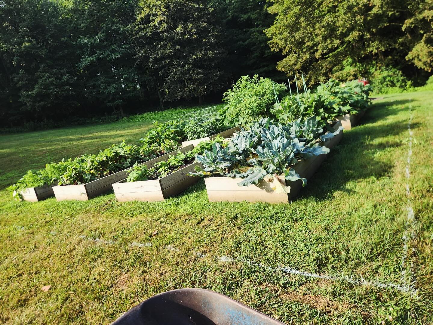 Veggie garden goals! The pea stone adds a polished look, making it a perfect fit for any yard. #vegetablegarden #landscaping #gardening #raisedbeds