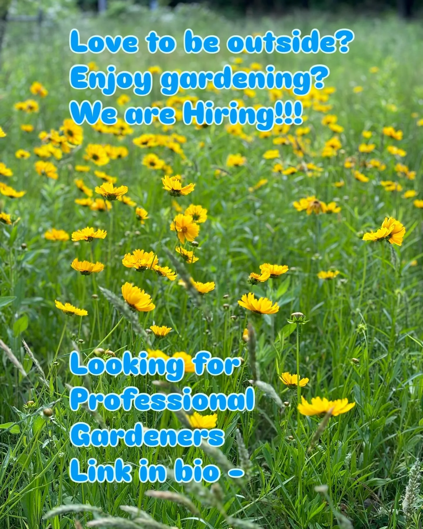 Looking for Gardeners with 2 years of professional experience- hiring for 2 positions, Leader and crew member. Apply @ mountainhl.com