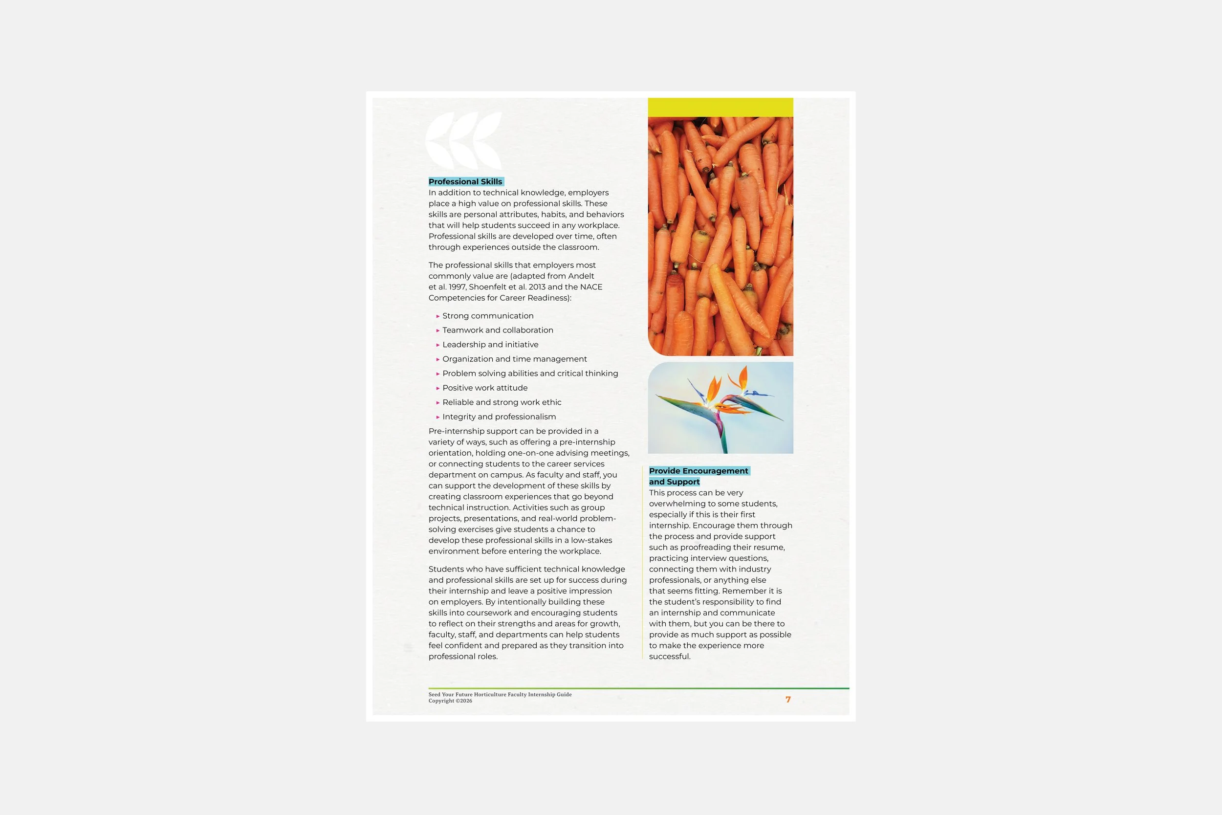 SYF faculty guide8.jpg