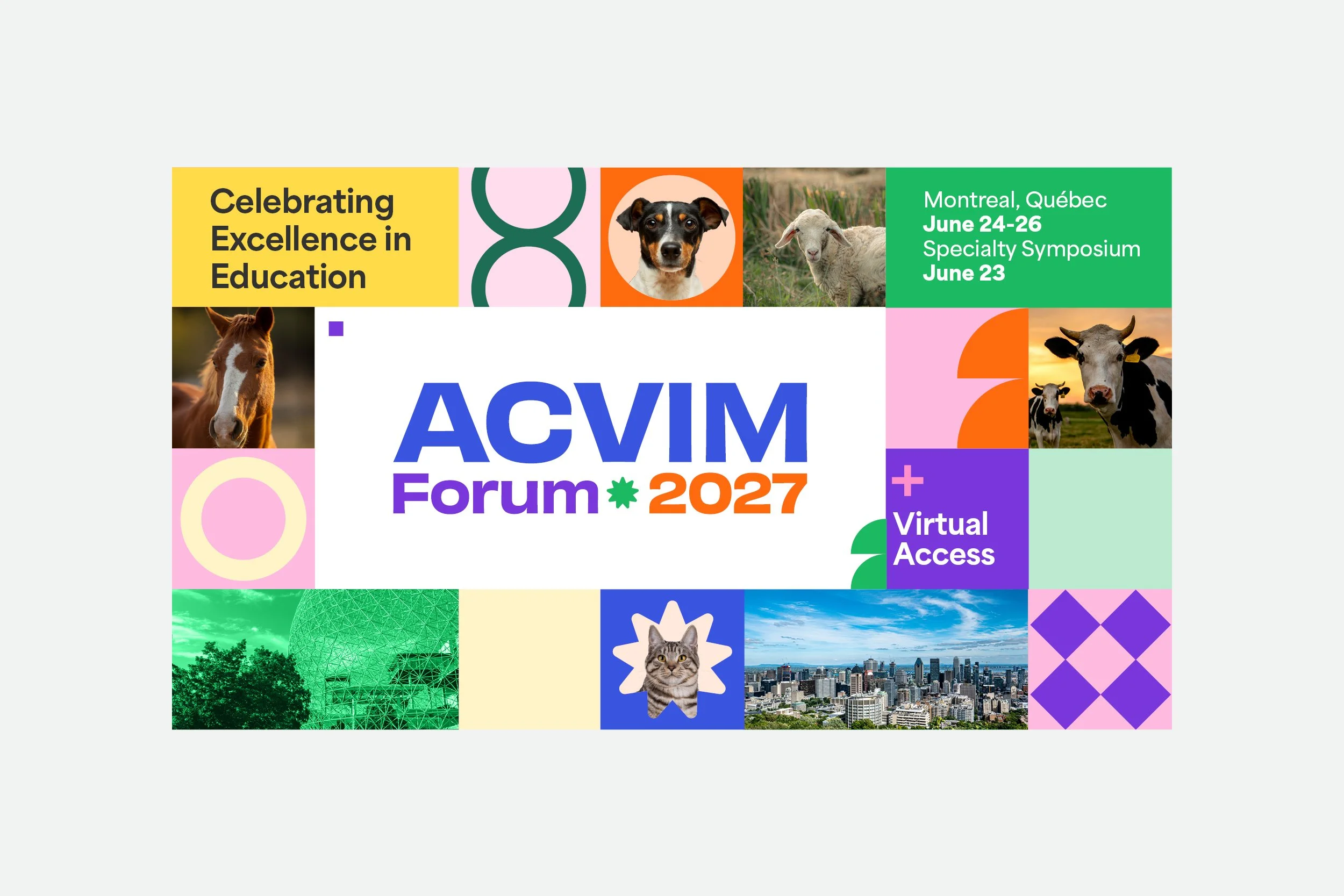 2027  ACVIM forum-1.jpg