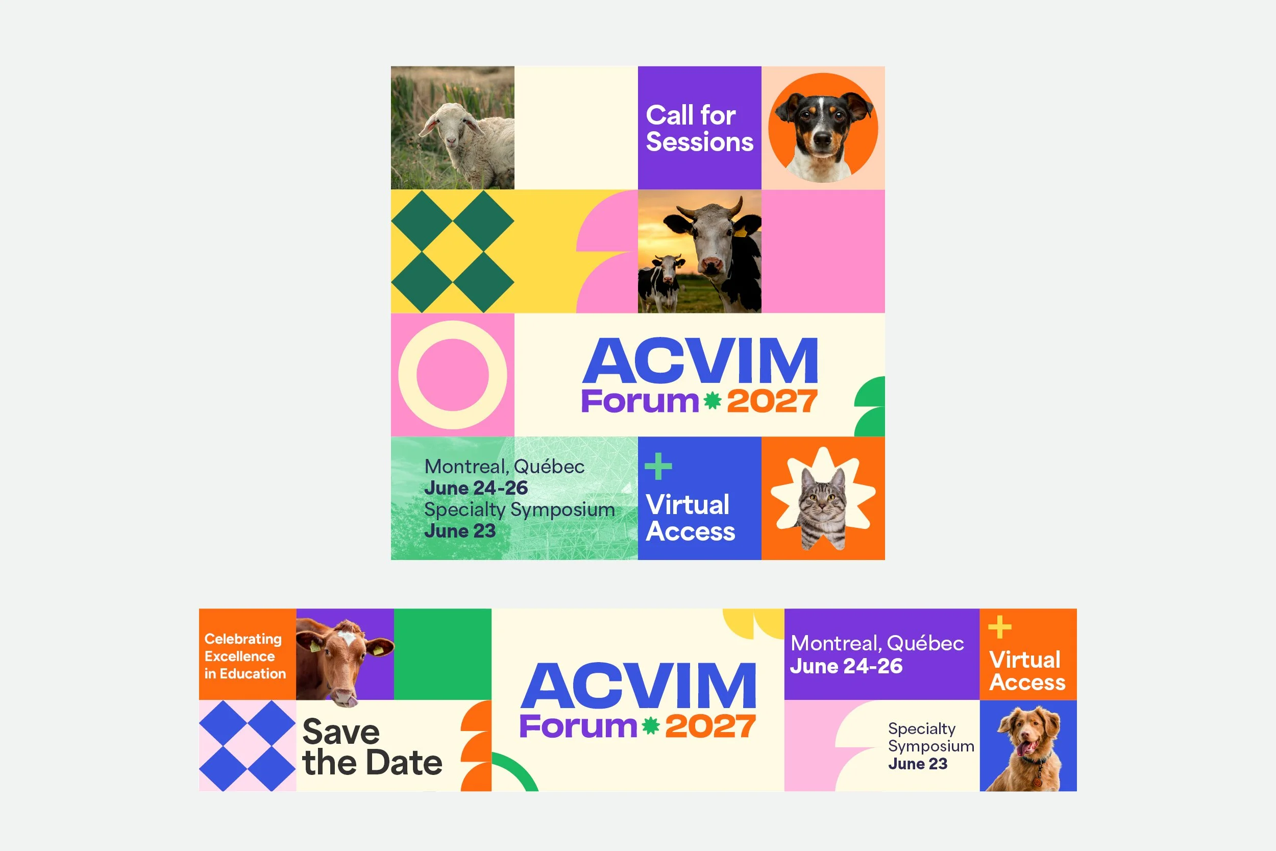 2027  ACVIM forum-3.jpg