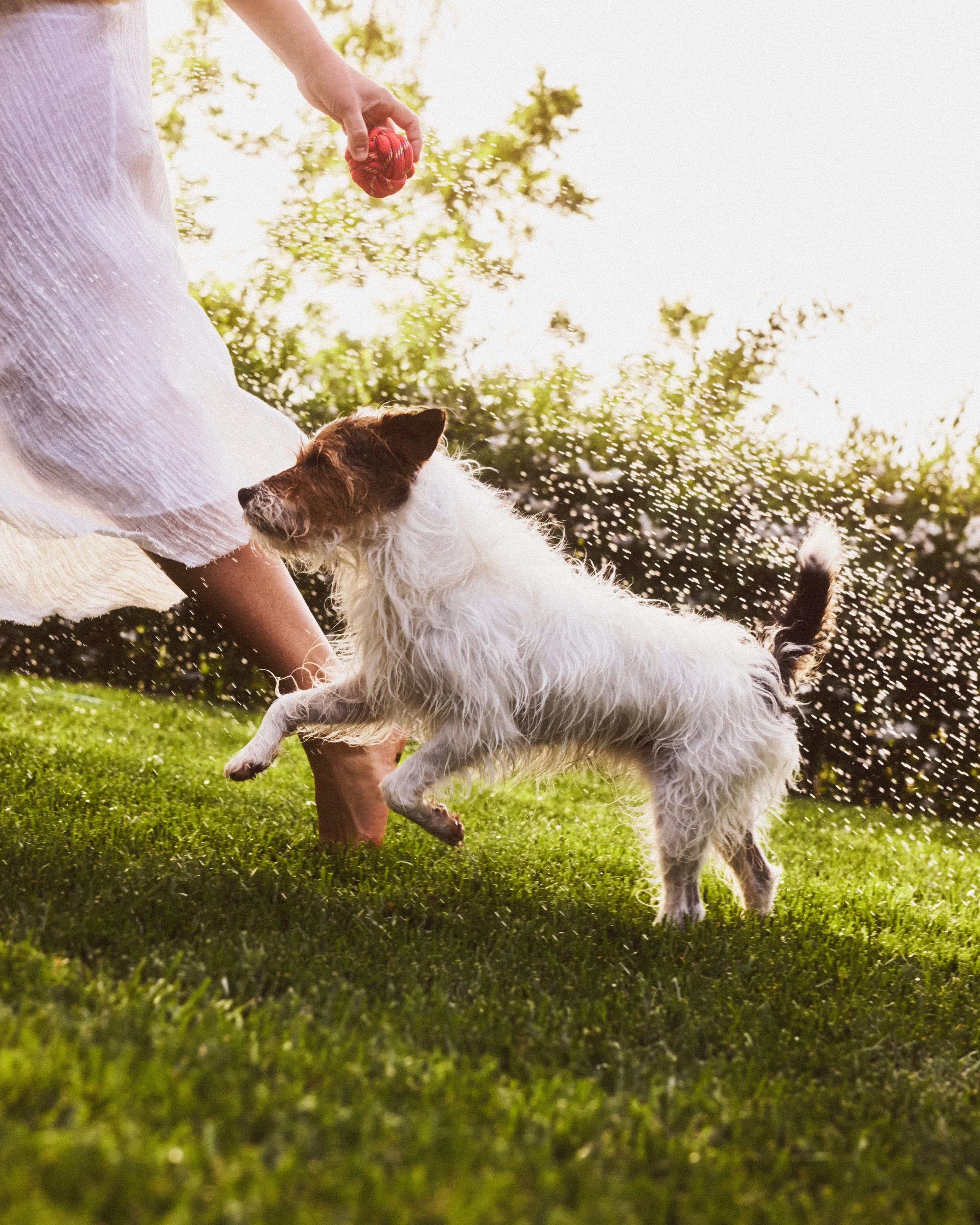 Shot_06_Sprinkler_132.jpg