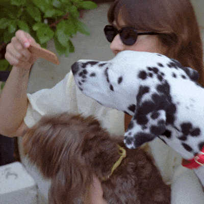 2_Full_Moon_-AIR-DRIED TREATS, Portfolio_FINAL_Square_1x1_NoAudio (1).gif