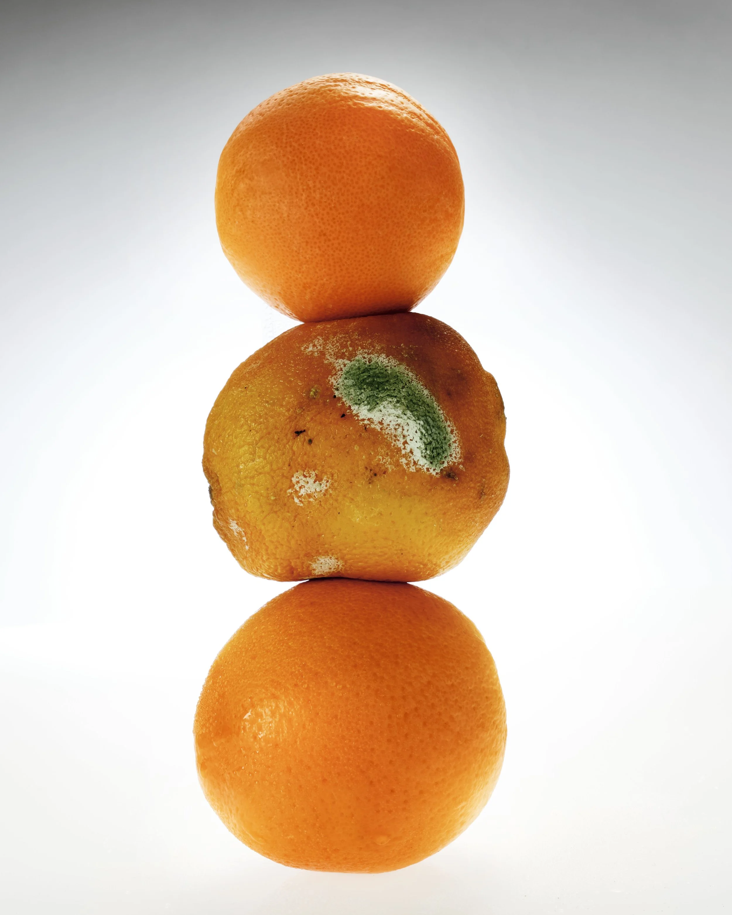 Lab_Shot_13_Senescence_Analogy_4202_A.jpg