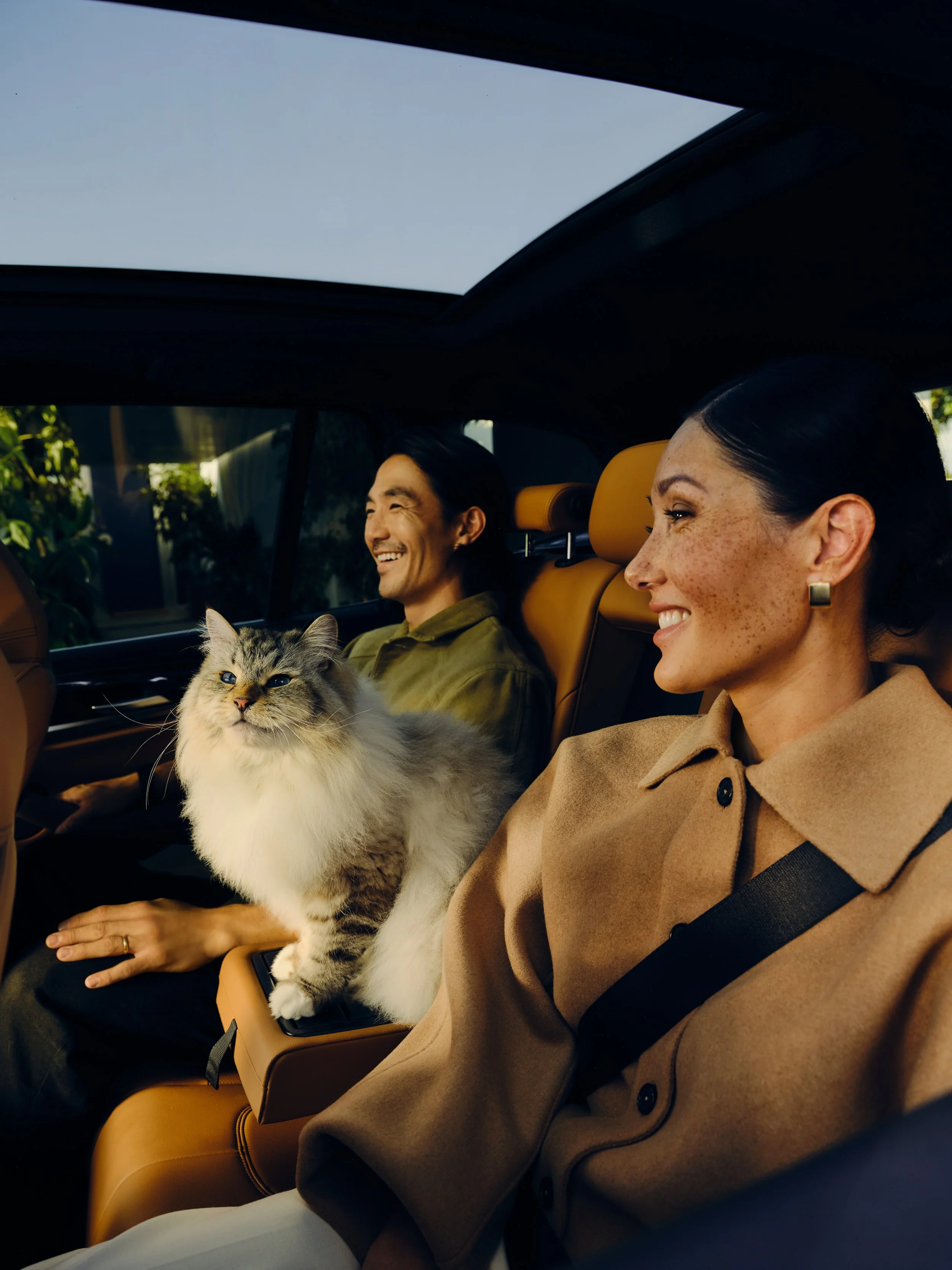 Car Cat_MED.jpg