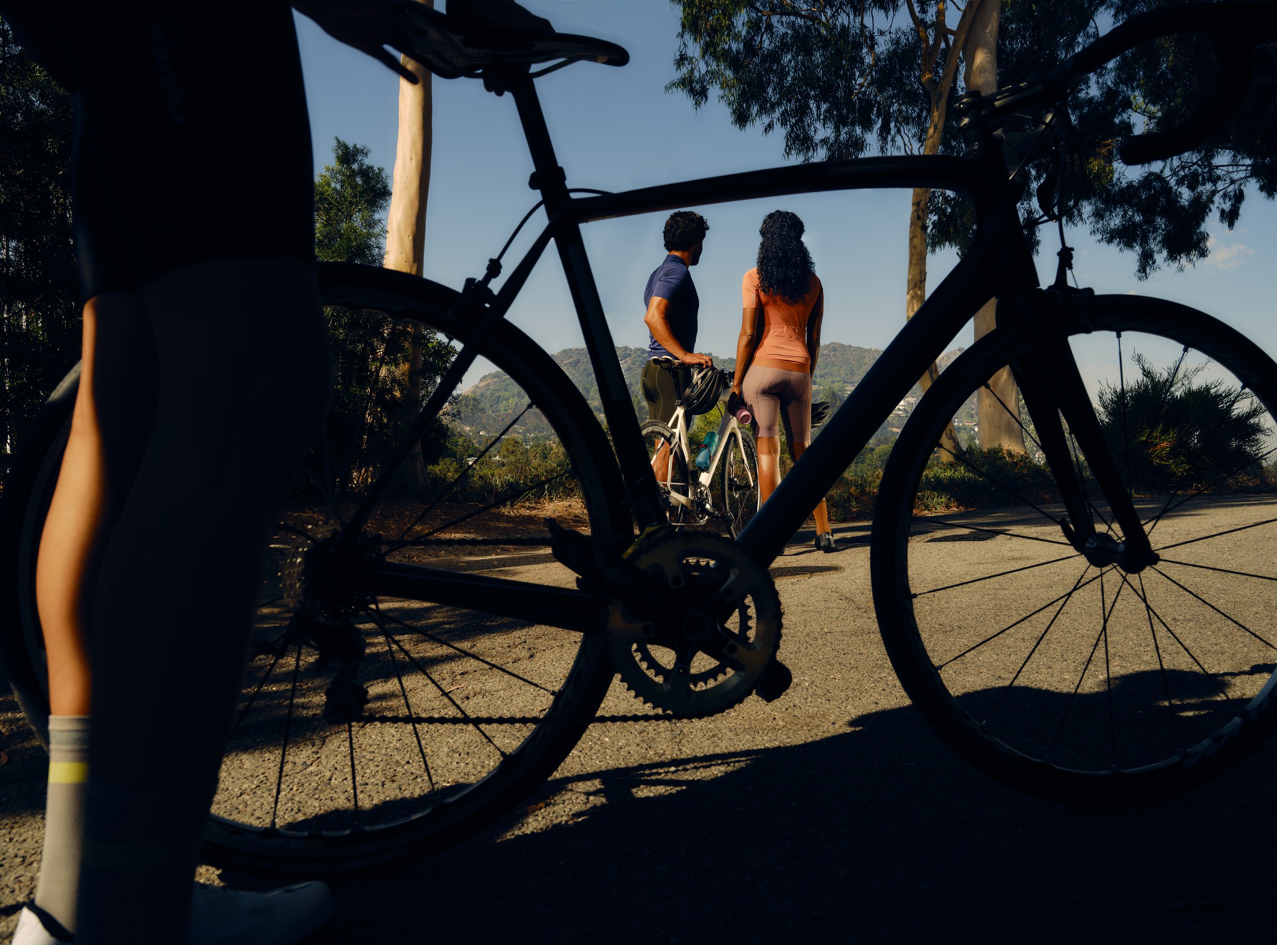 Bike_Frame_MED.jpg