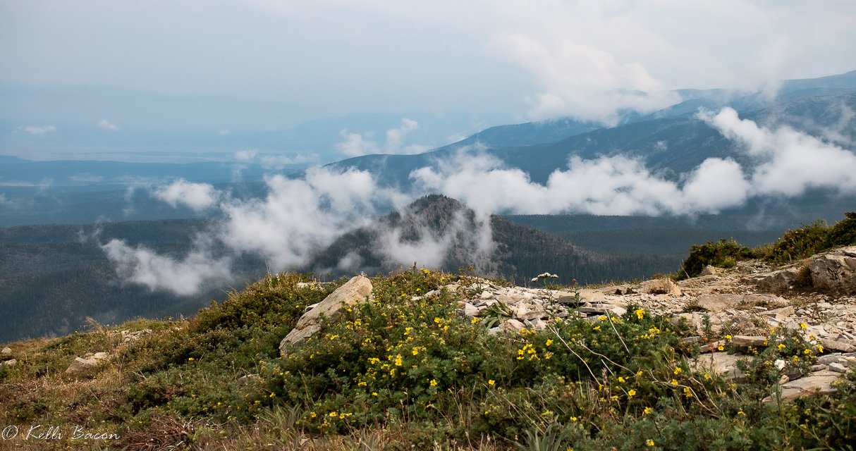 DSC_0210.jpg