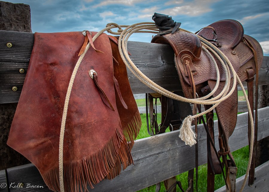 Chaps Saddle and Rope