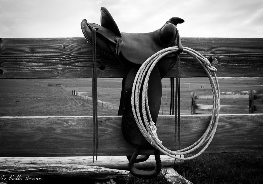 Black and White Saddle with Rope